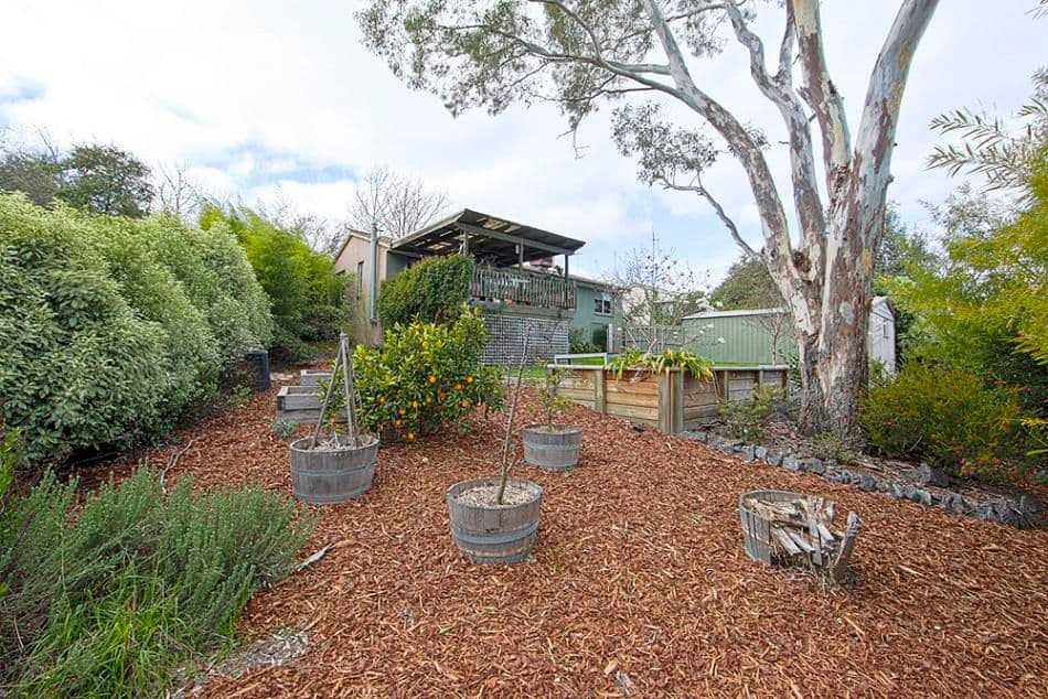 49 Folingsby Street, WESTON ACT 2611, Weston - Thumbnail 5
