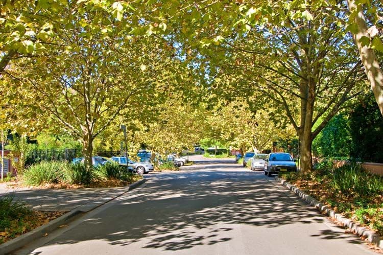 2  Williams Parade, DULWICH HILL NSW 2203, Dulwich Hill - Thumbnail 3