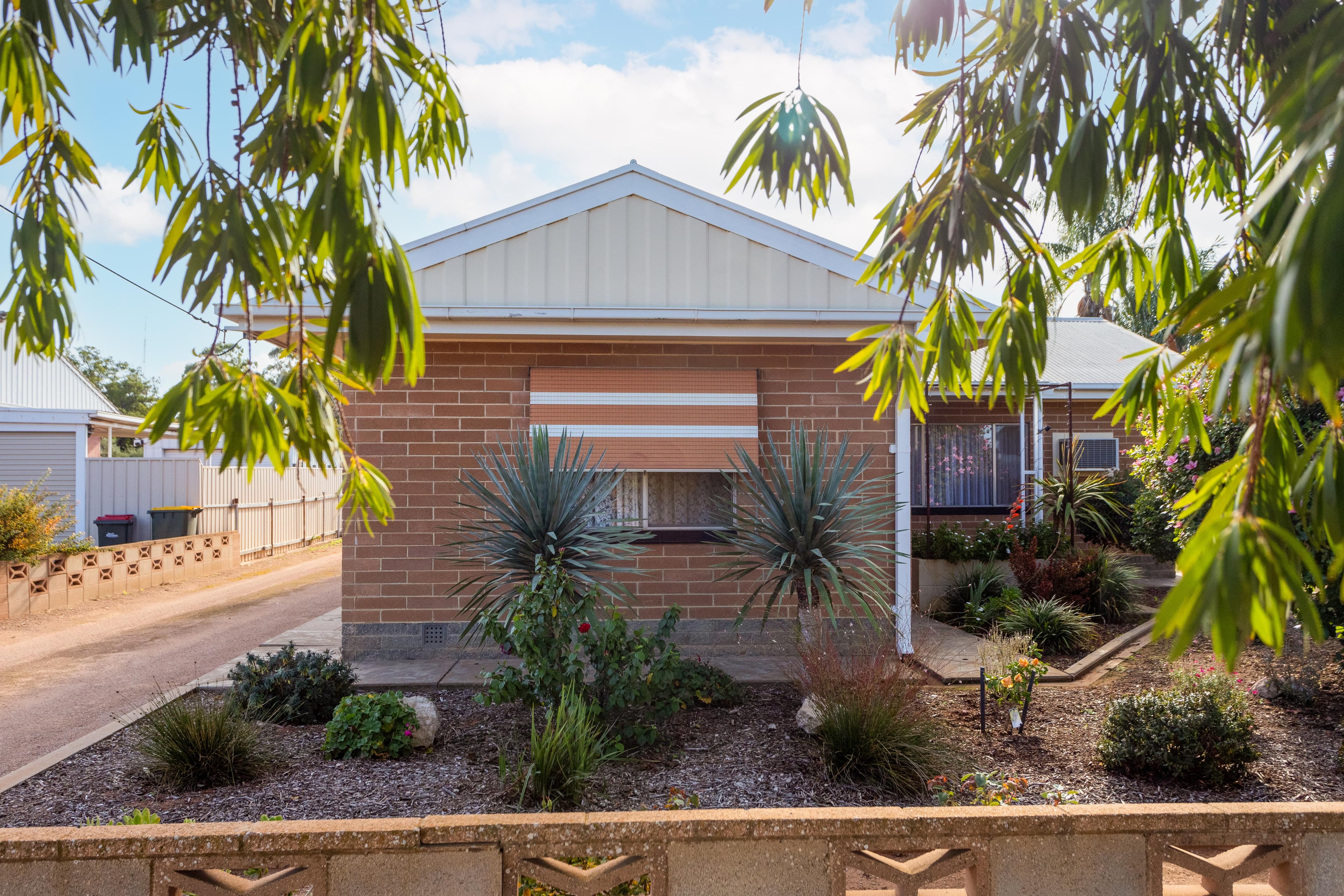 49 Tonkin Avenue, Barmera SA 5345, Barmera - Image 1