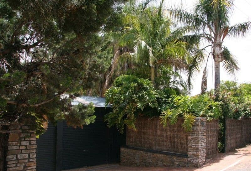 247 Ramco Road, WAIKERIE SA 5330, Waikerie - Thumbnail 2