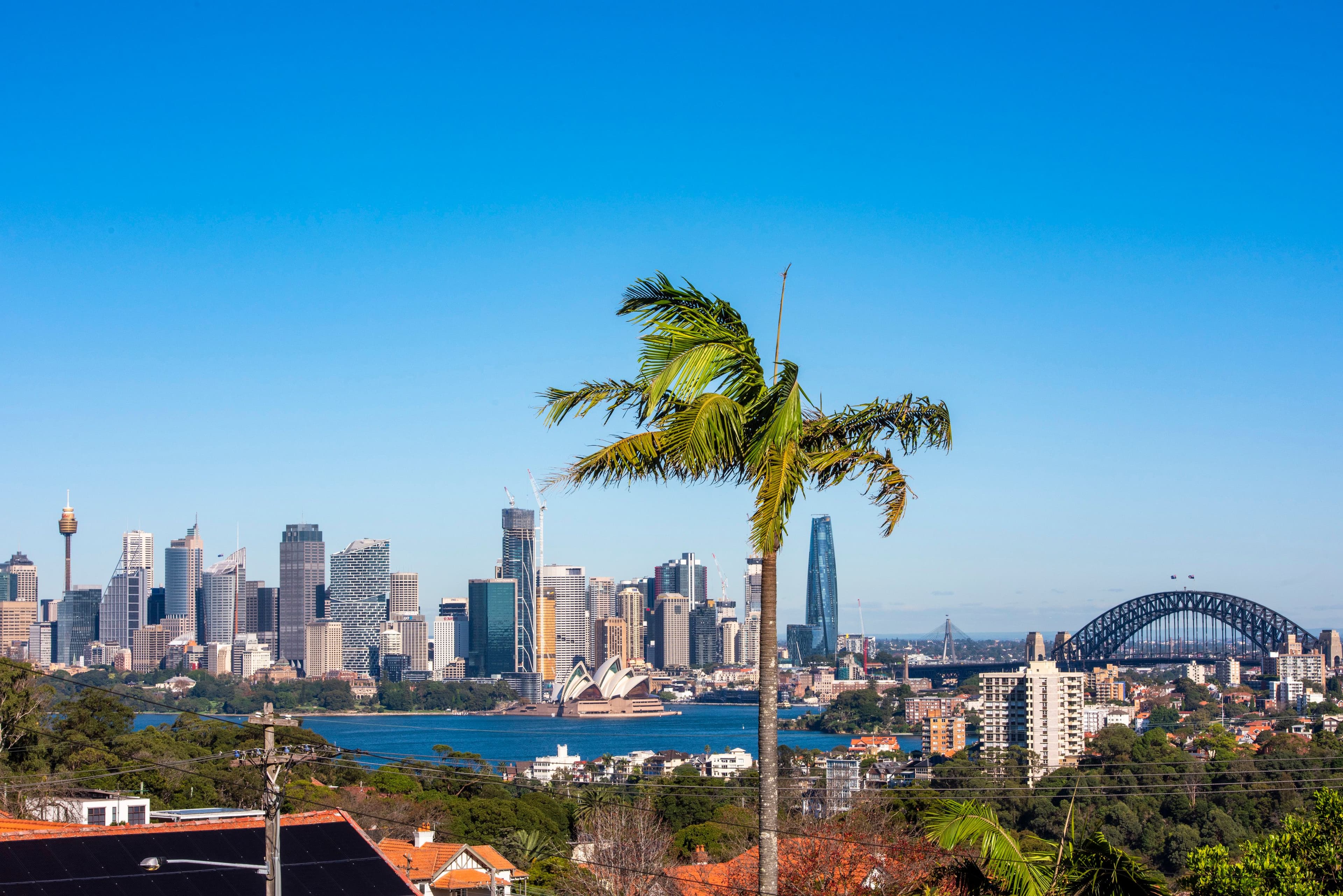 11A Ruby Street, Mosman NSW 2088, Mosman - Image 1
