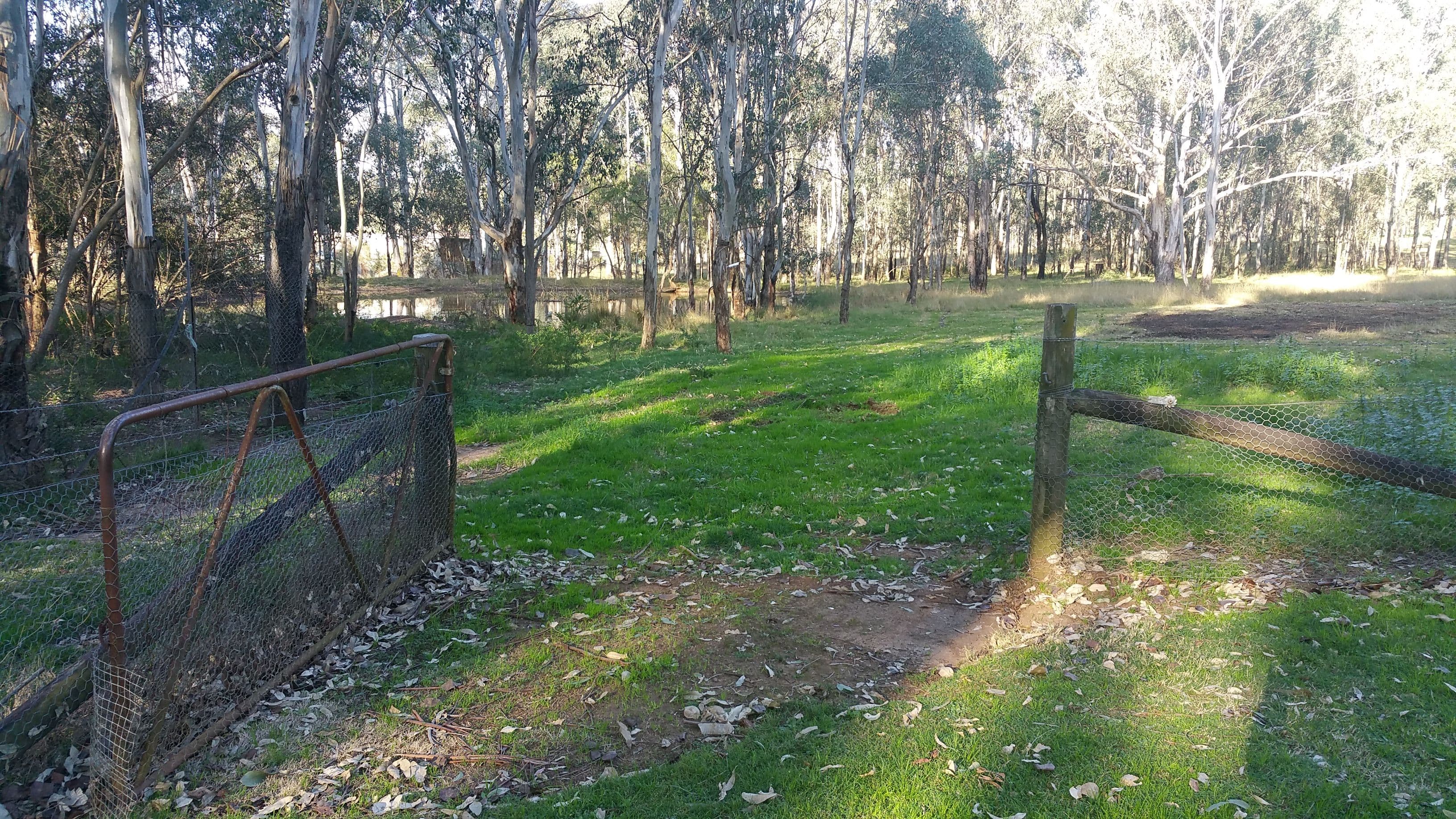 22 Francis Street, Bringelly - Thumbnail 5