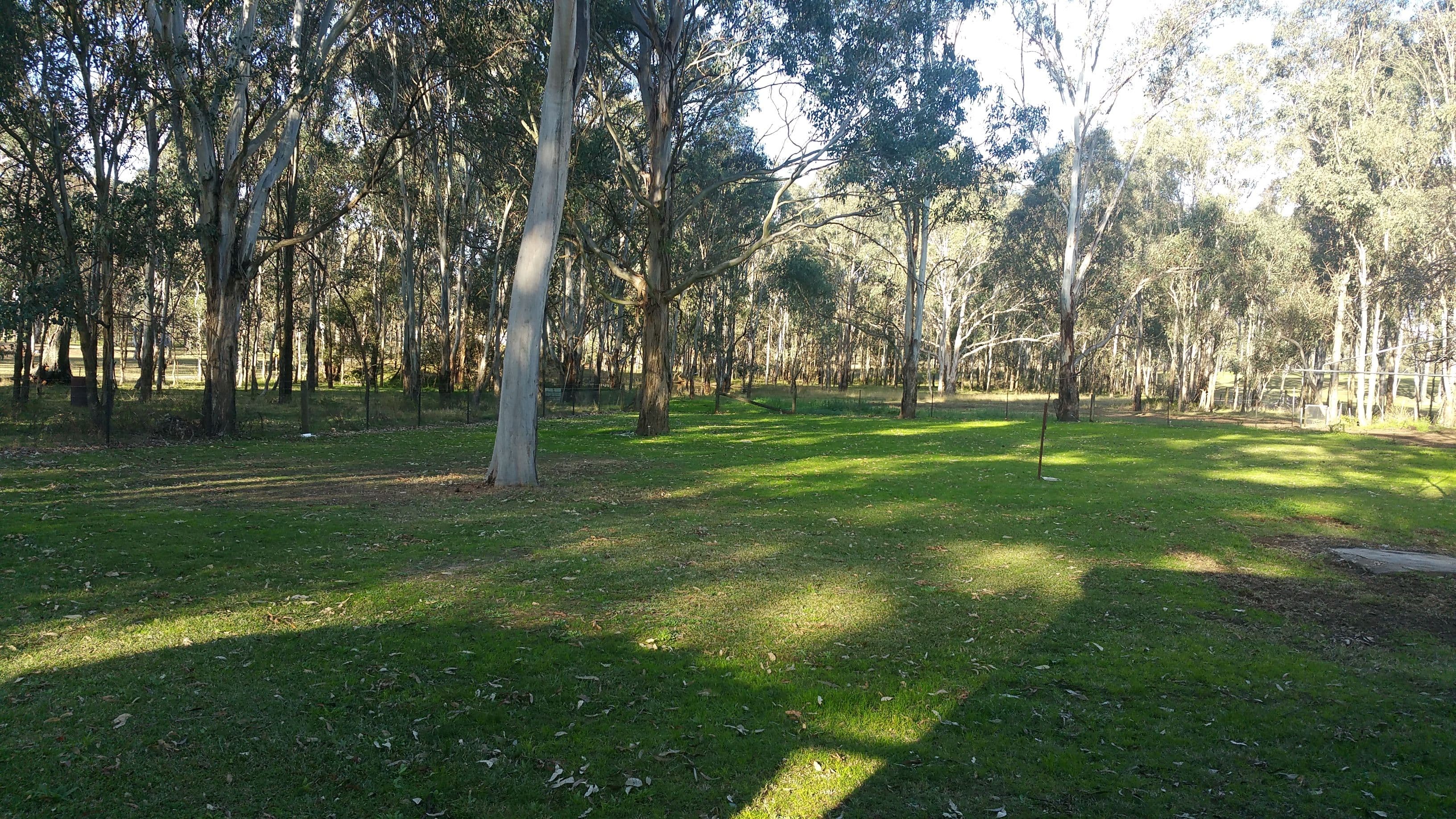 22 Francis Street, Bringelly - Thumbnail 6