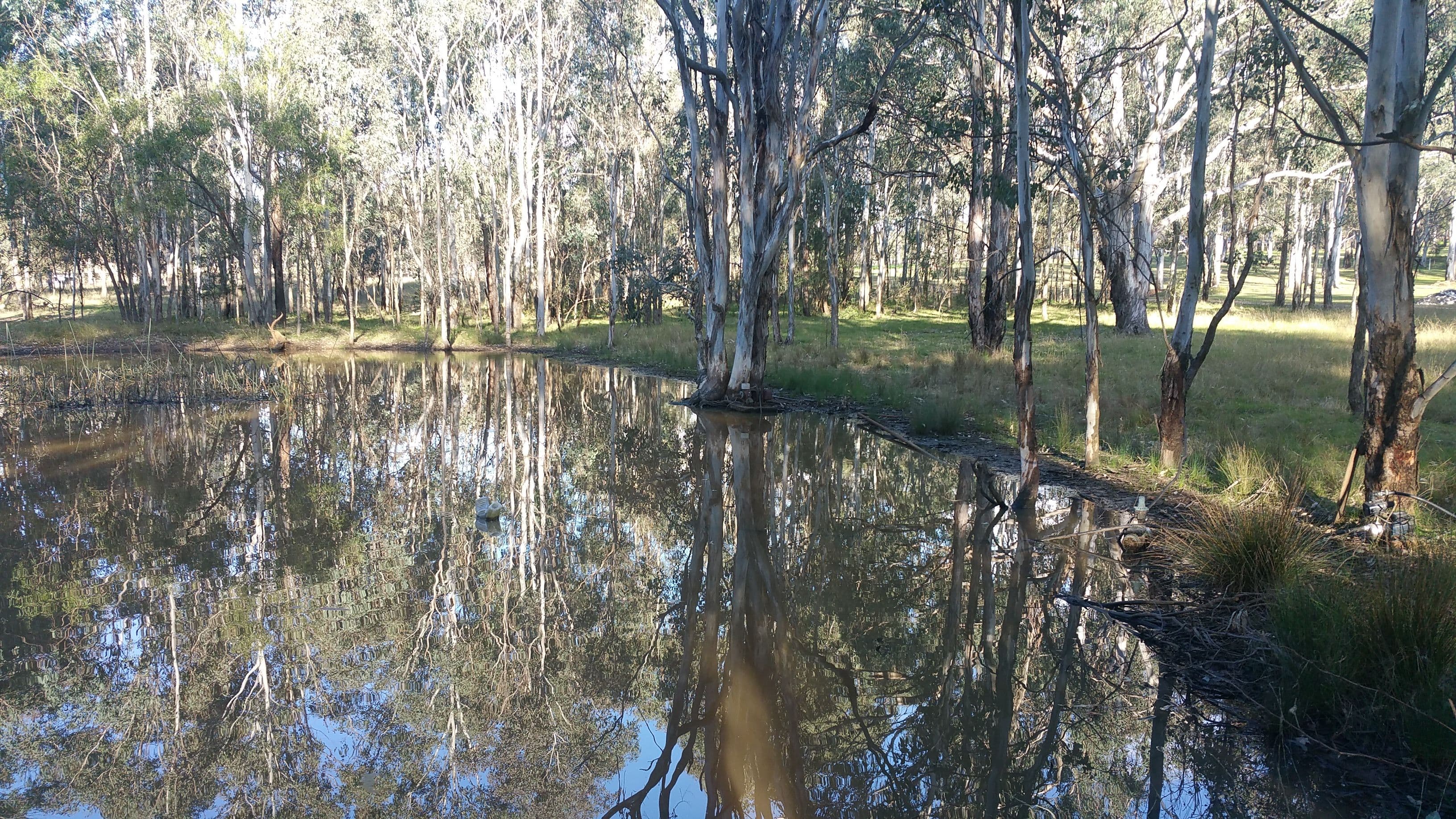 22 Francis Street, Bringelly - Thumbnail 7