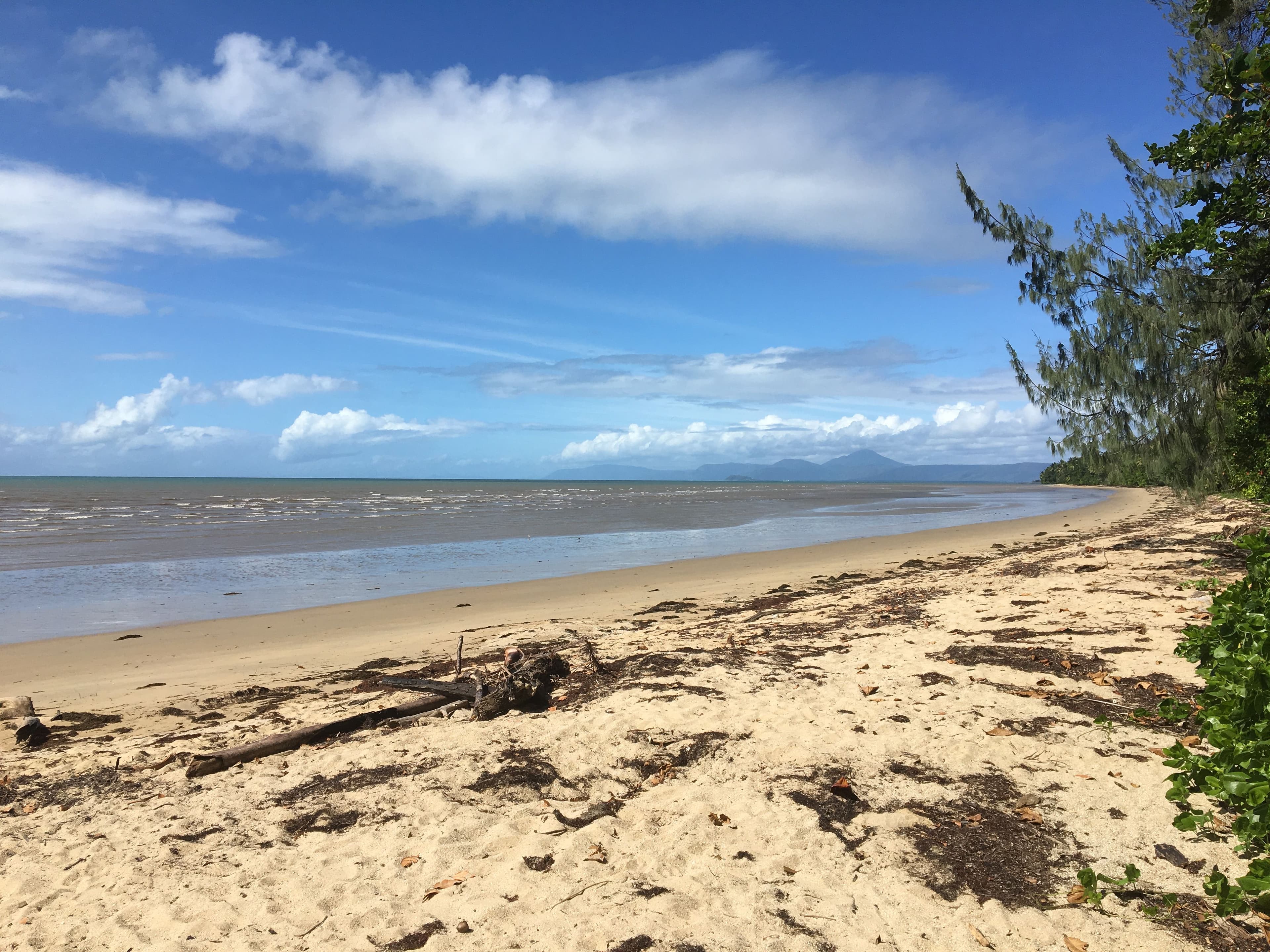 41 Marlin Drive, Wonga Beach QLD 4873, Wonga Beach - Thumbnail 7