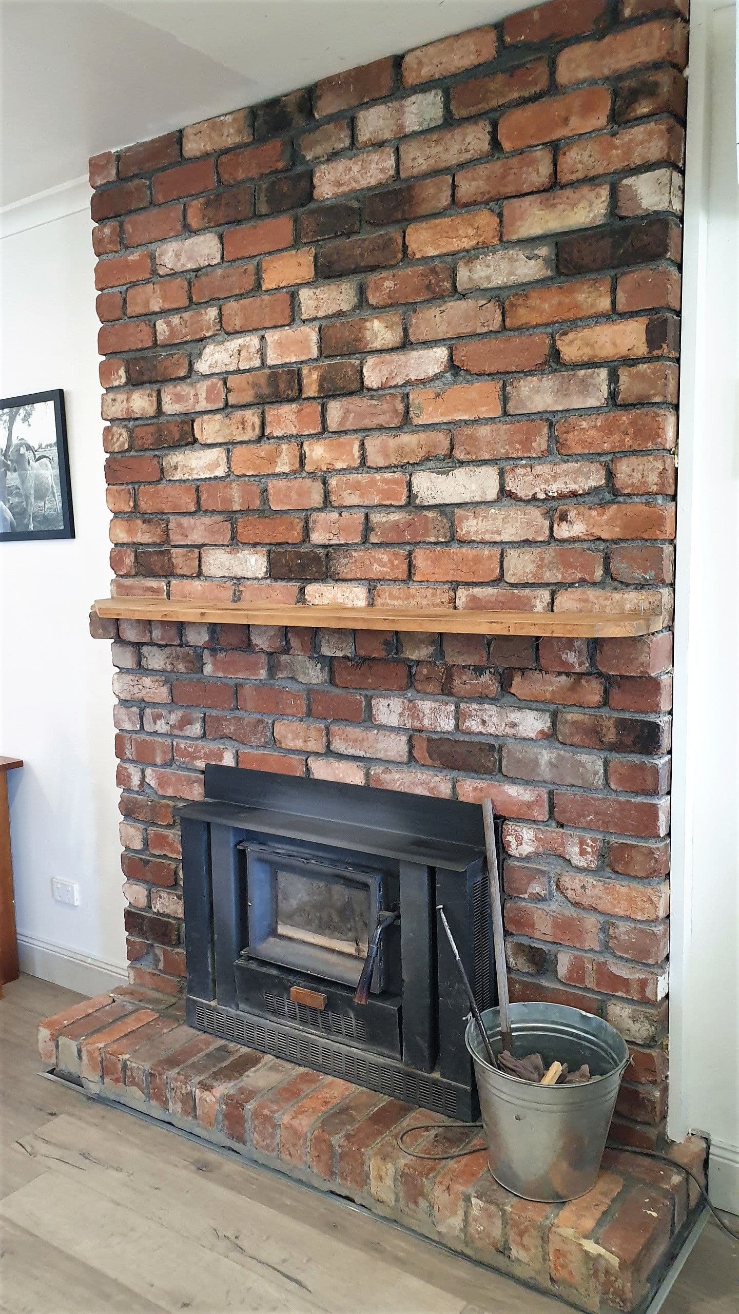 113 Hervey Street, Elmore VIC 3558, Elmore - Thumbnail 5