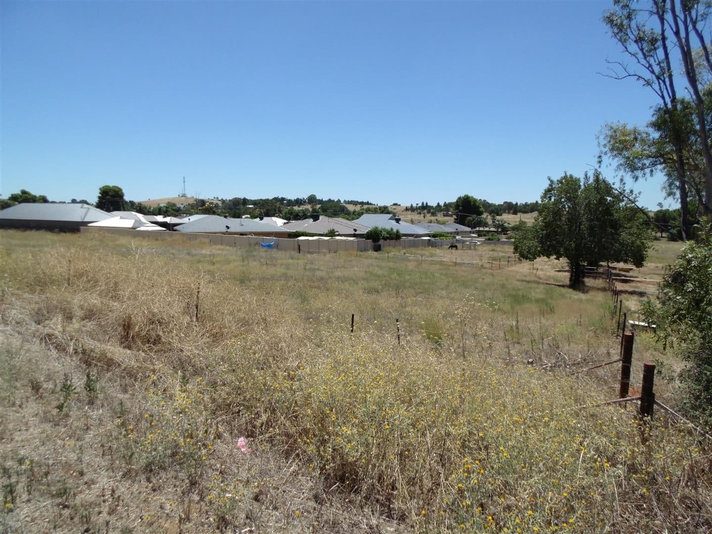 Lot 3 Seaborn Street, Parkes NSW 2870, Parkes - Thumbnail 5