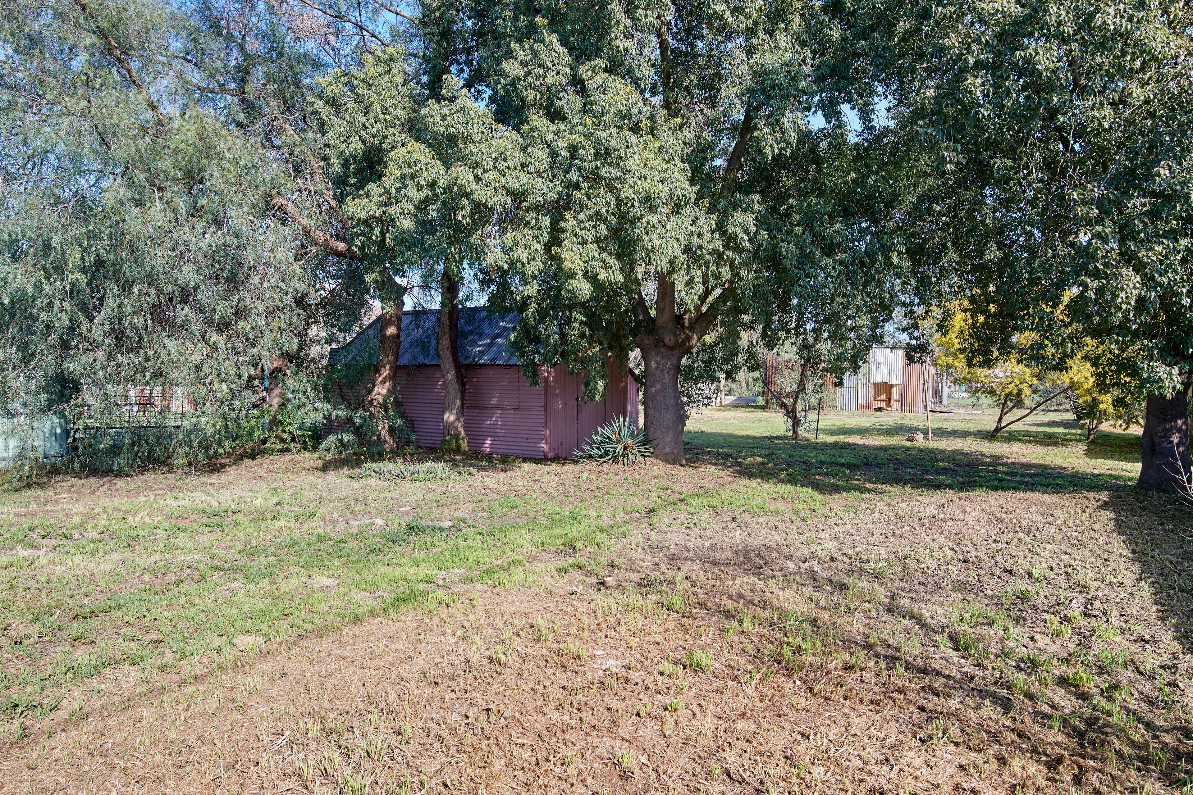 36 Ford Street, Ganmain NSW 2702, Ganmain - Thumbnail 6