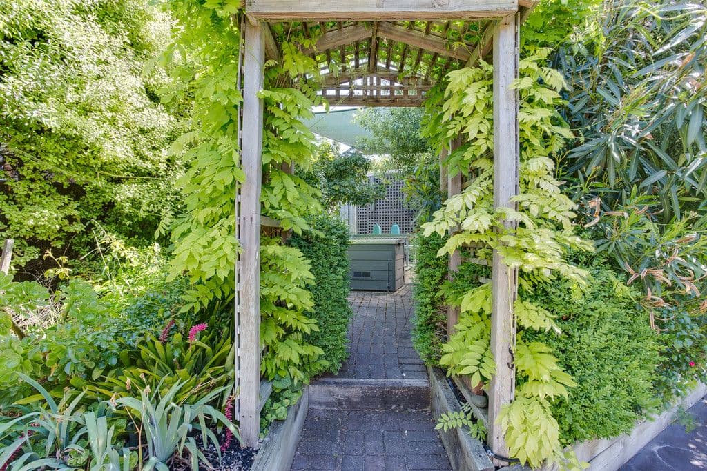 11 Wondaree Street, RYE VIC 3941, Rye - Thumbnail 3