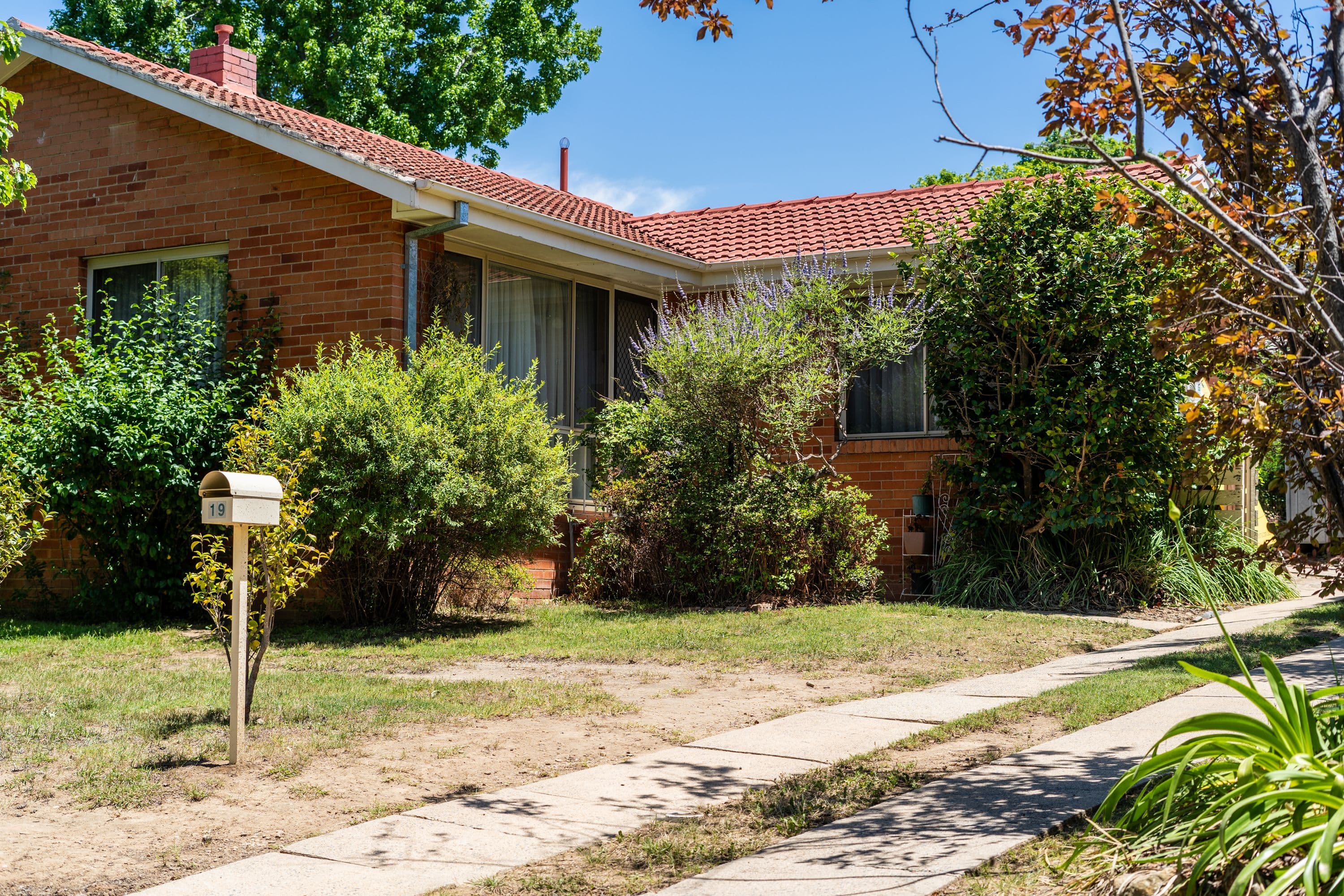 19 Daglish Street, Curtin ACT 2605, Curtin - Thumbnail 3