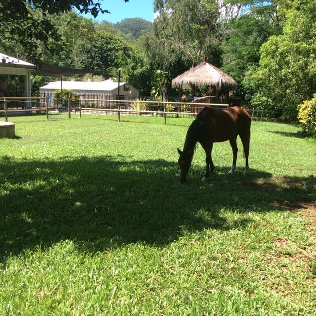 55 -57 Vico Street, Gordonvale QLD 4865, Gordonvale - Thumbnail 2