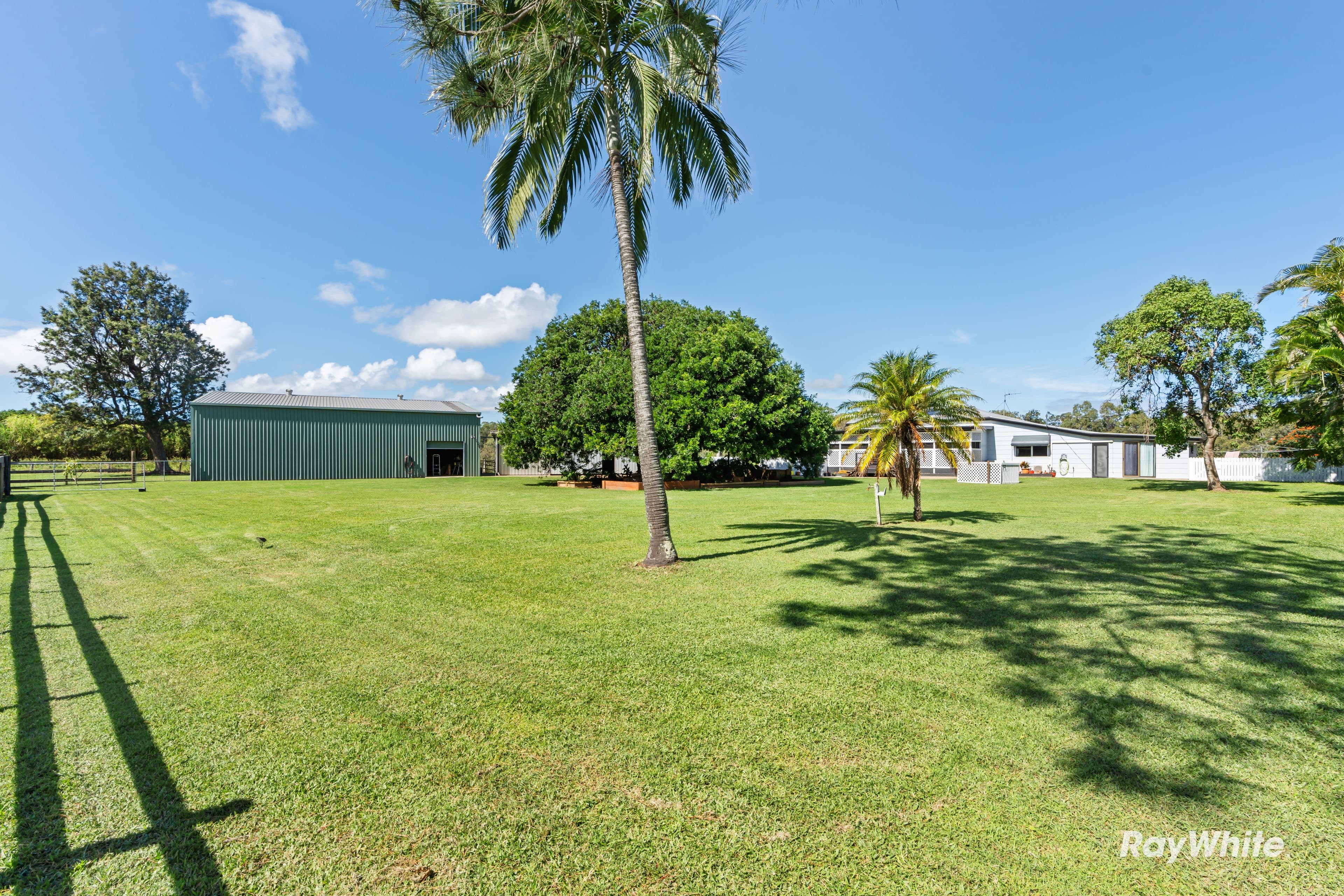 22 Rustic Road, Sharon QLD 4670, Sharon - Thumbnail 4