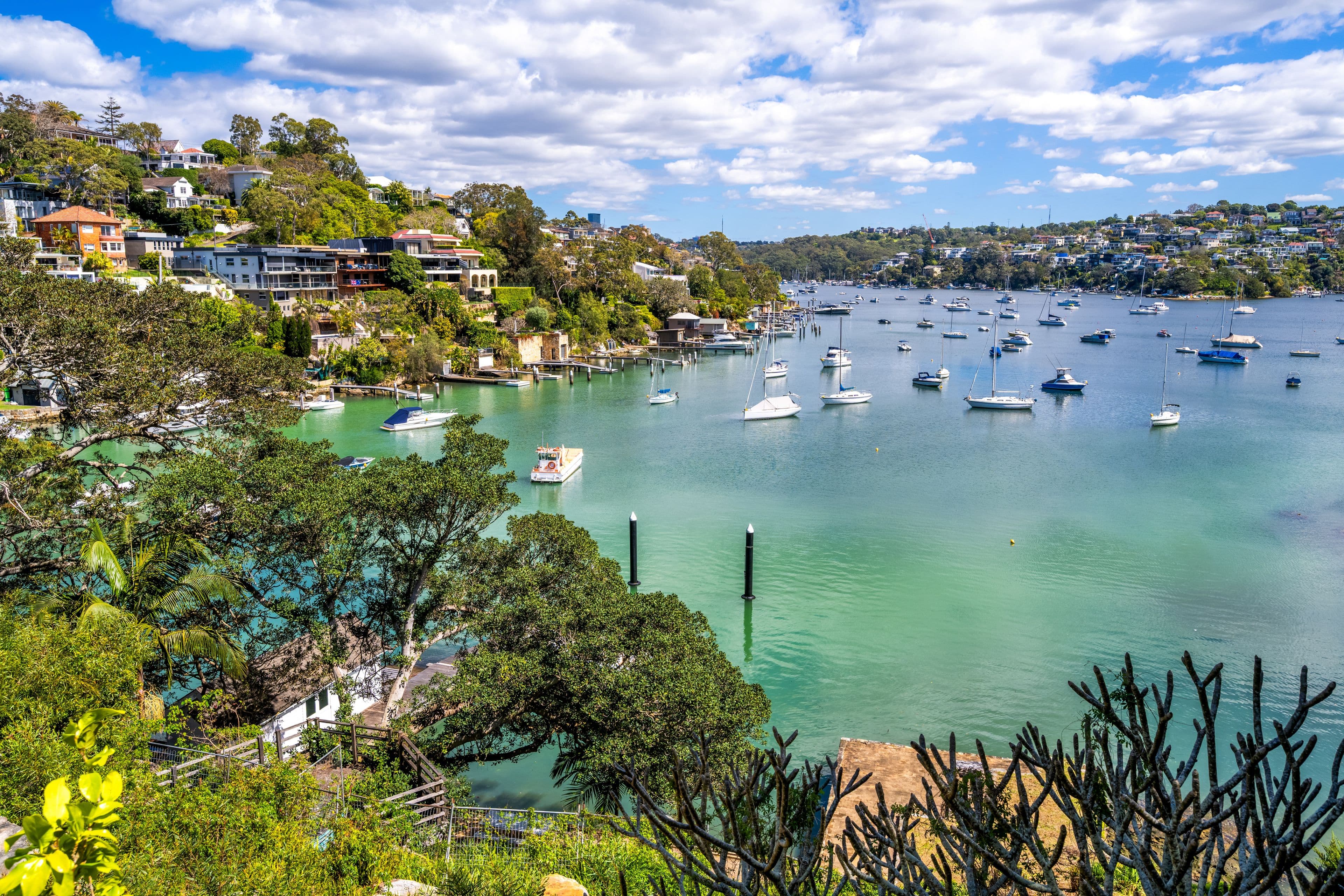 Lot 1/10-12 Bay Street, Mosman NSW 2088, Mosman - Thumbnail 3