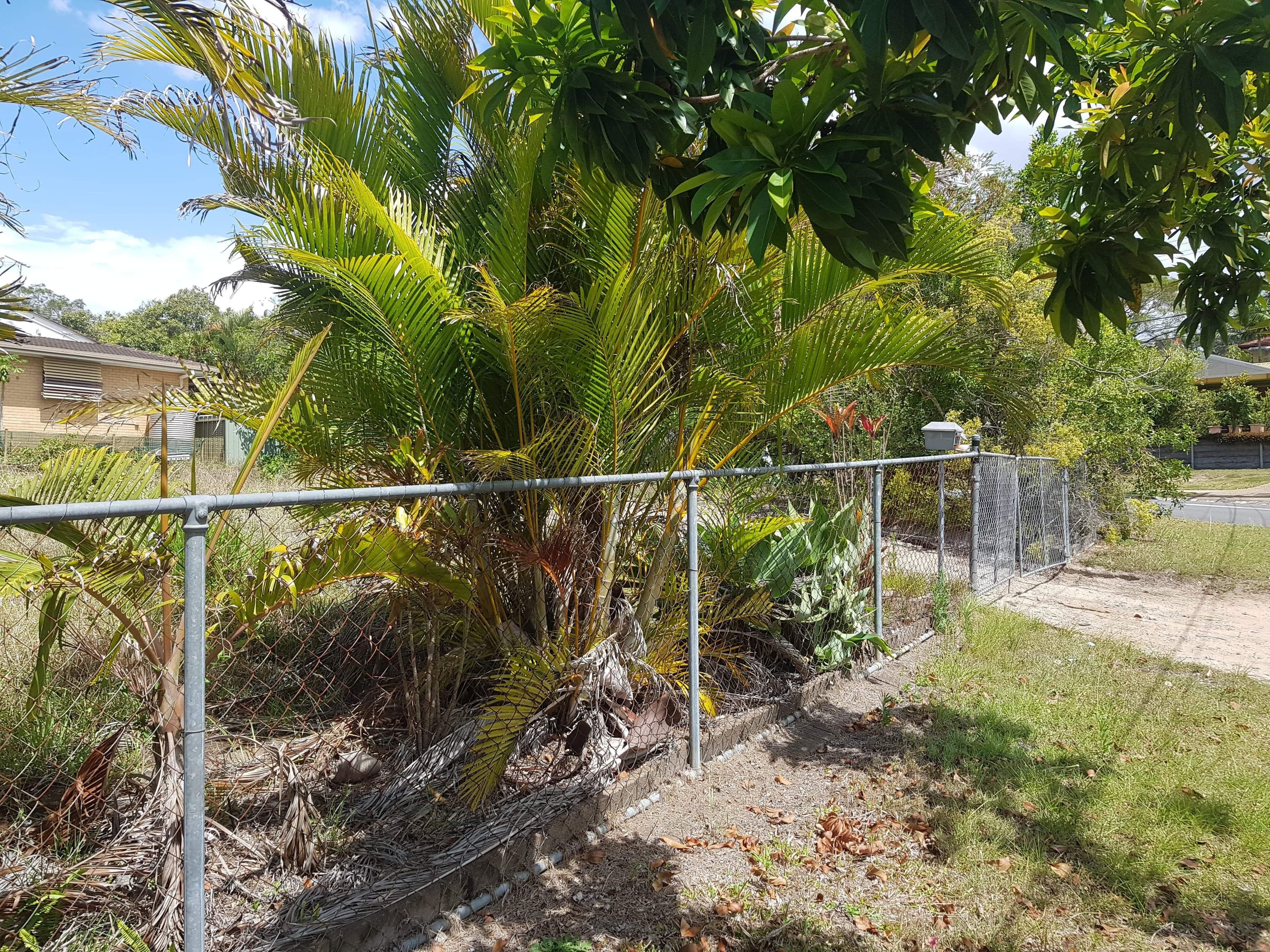19 Woodlands Drive, Rochedale South QLD 4123, Rochedale South - Image 1