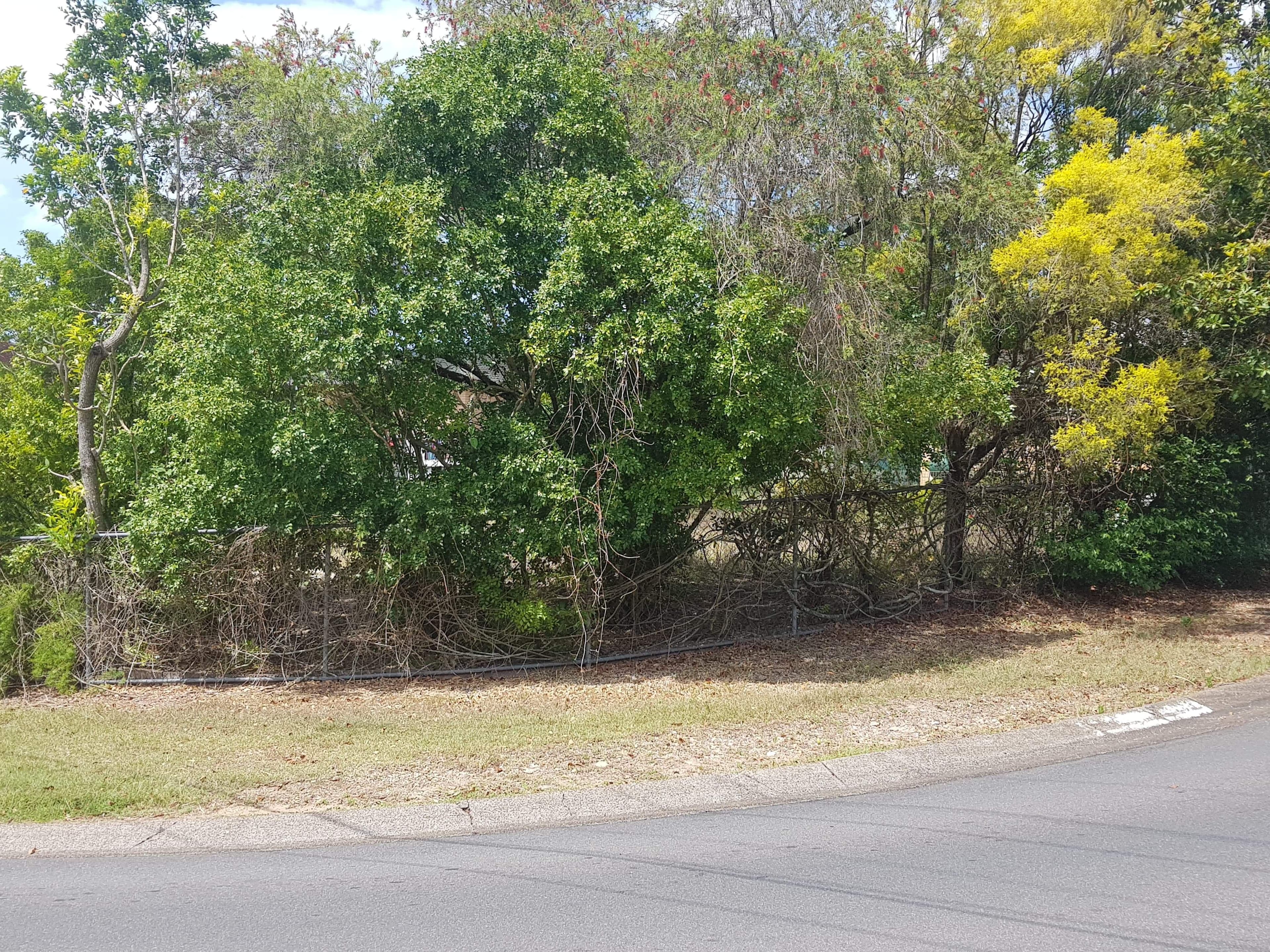 19 Woodlands Drive, Rochedale South QLD 4123, Rochedale South - Thumbnail 8