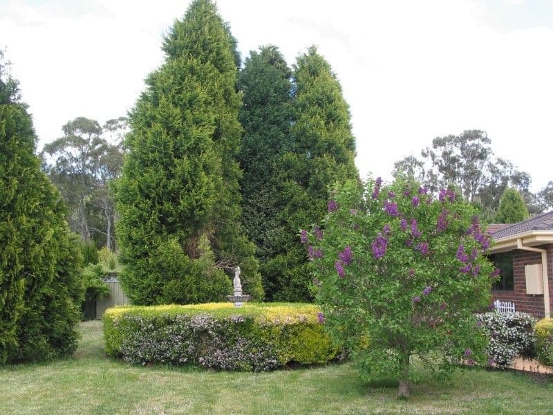 BOWRAL NSW 2576, Bowral - Thumbnail 8