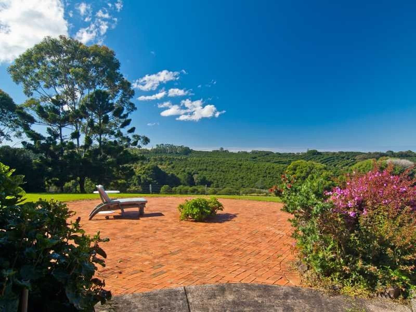864 Fernleigh Rd, Brooklet - Thumbnail 6