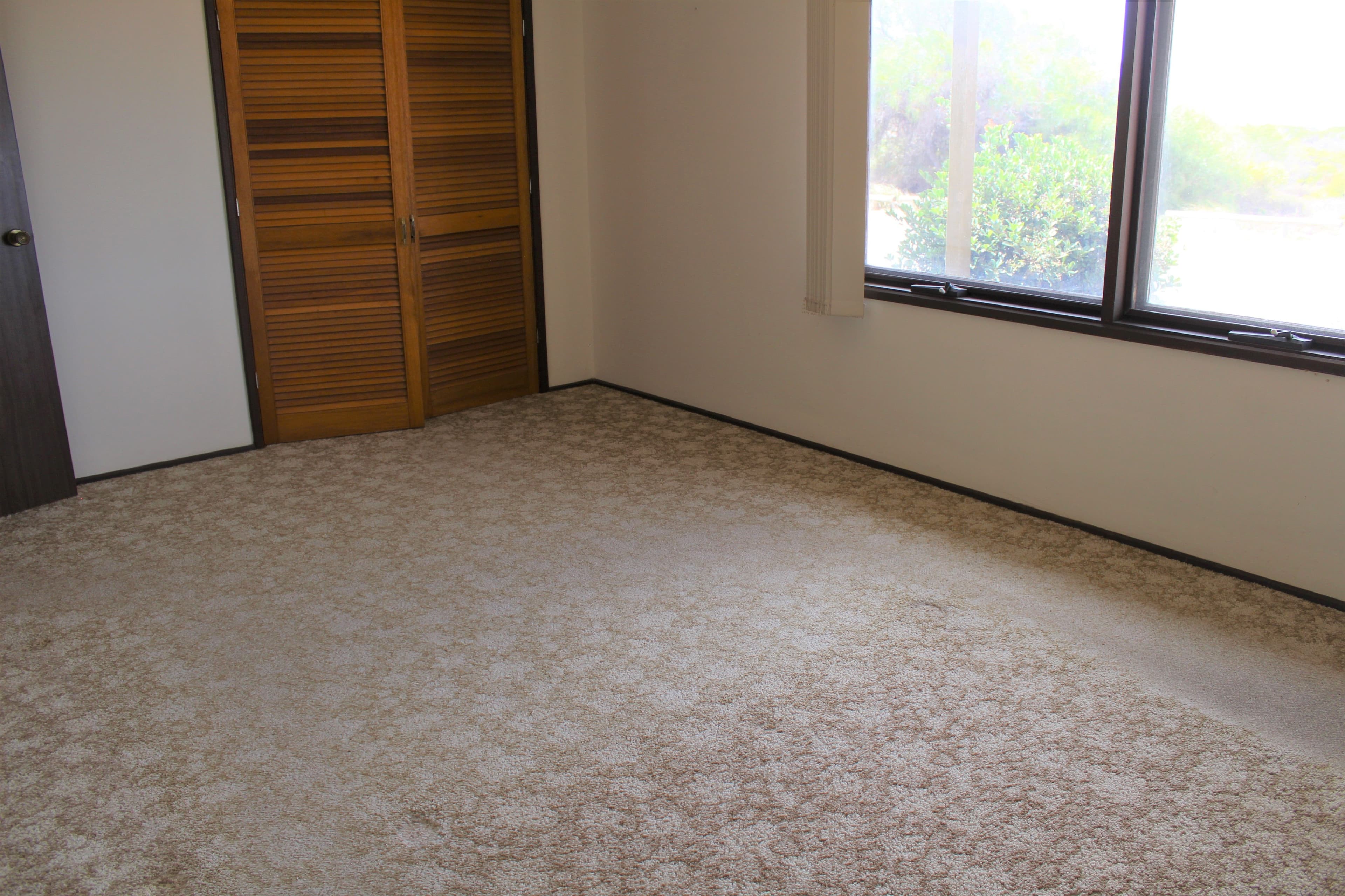 55 OLOUGHLIN Terrace, Port Neill SA 5604, Port Neill - Thumbnail 7