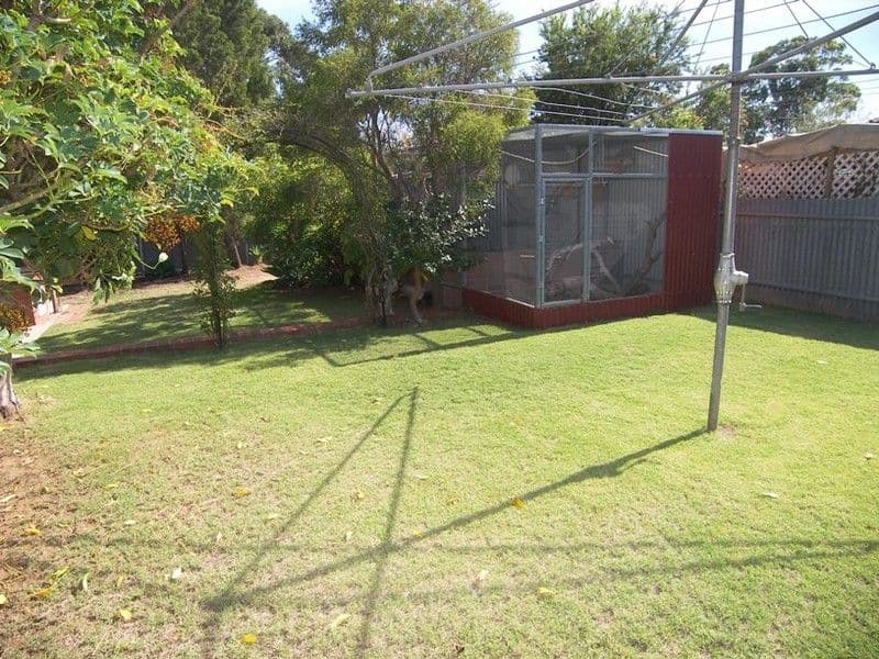 10 Dienelt Drive, PARA HILLS WEST SA 5096, Para Hills West - Image 1