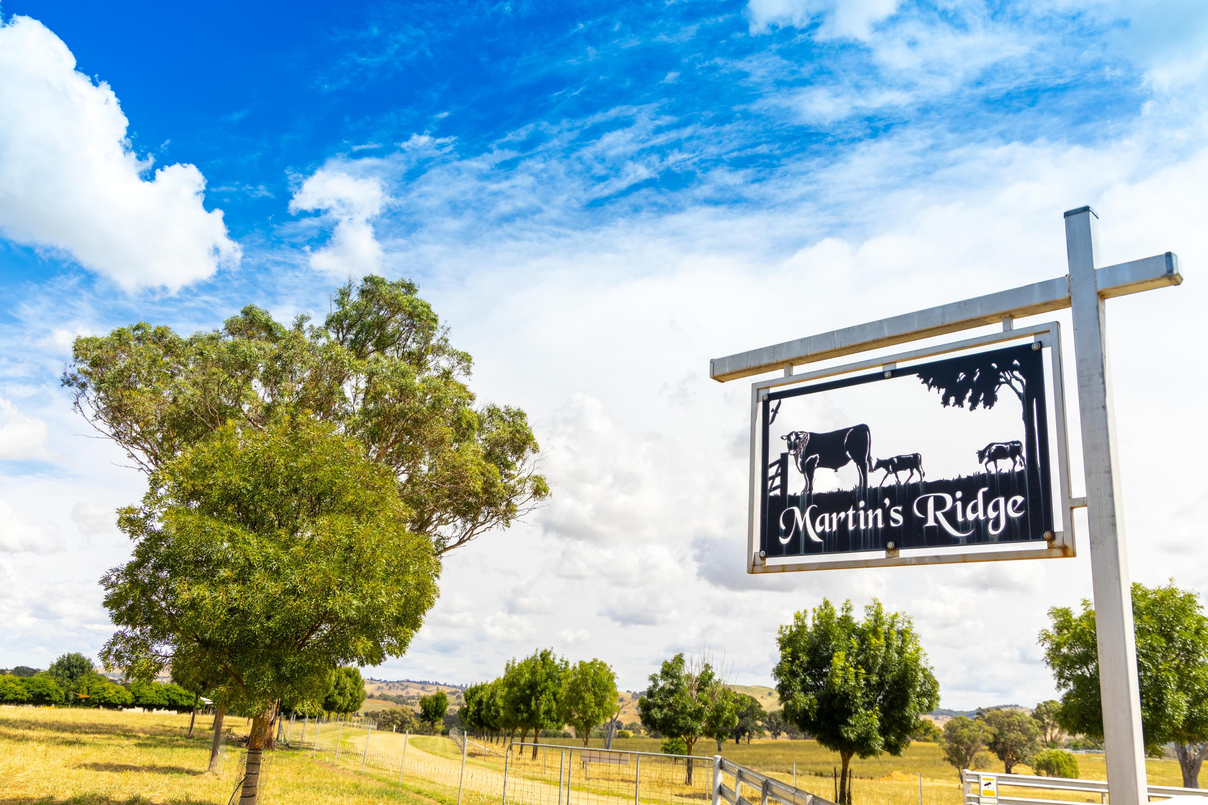 89 Bango Lane, Yass NSW 2582, Yass - Thumbnail 3