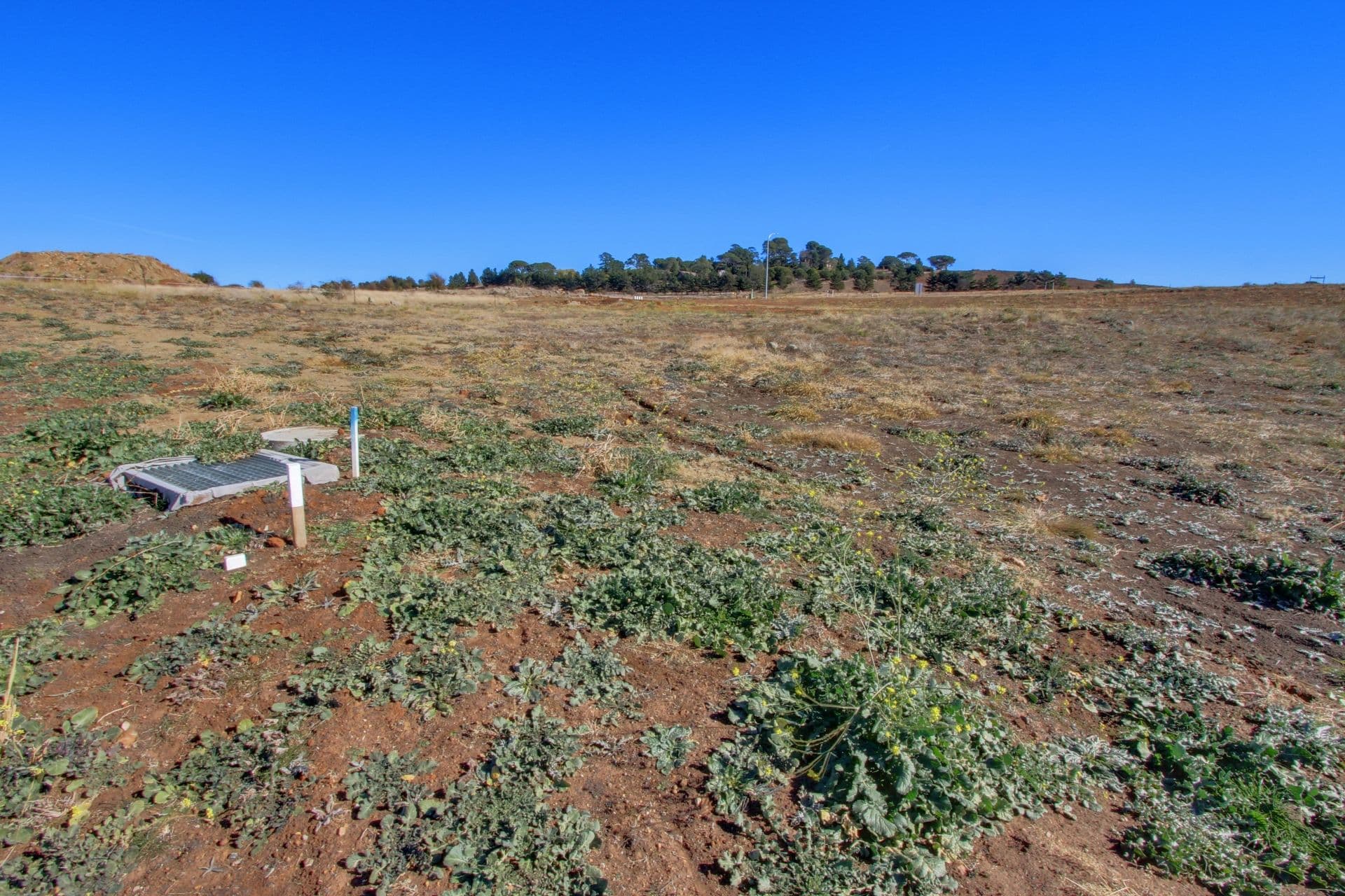11 Ibis Road, GOULBURN NSW 2580, Goulburn - Thumbnail 2