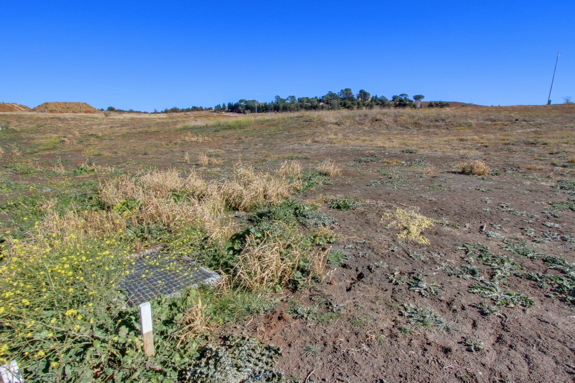 11 Ibis Road, GOULBURN NSW 2580, Goulburn - Thumbnail 3