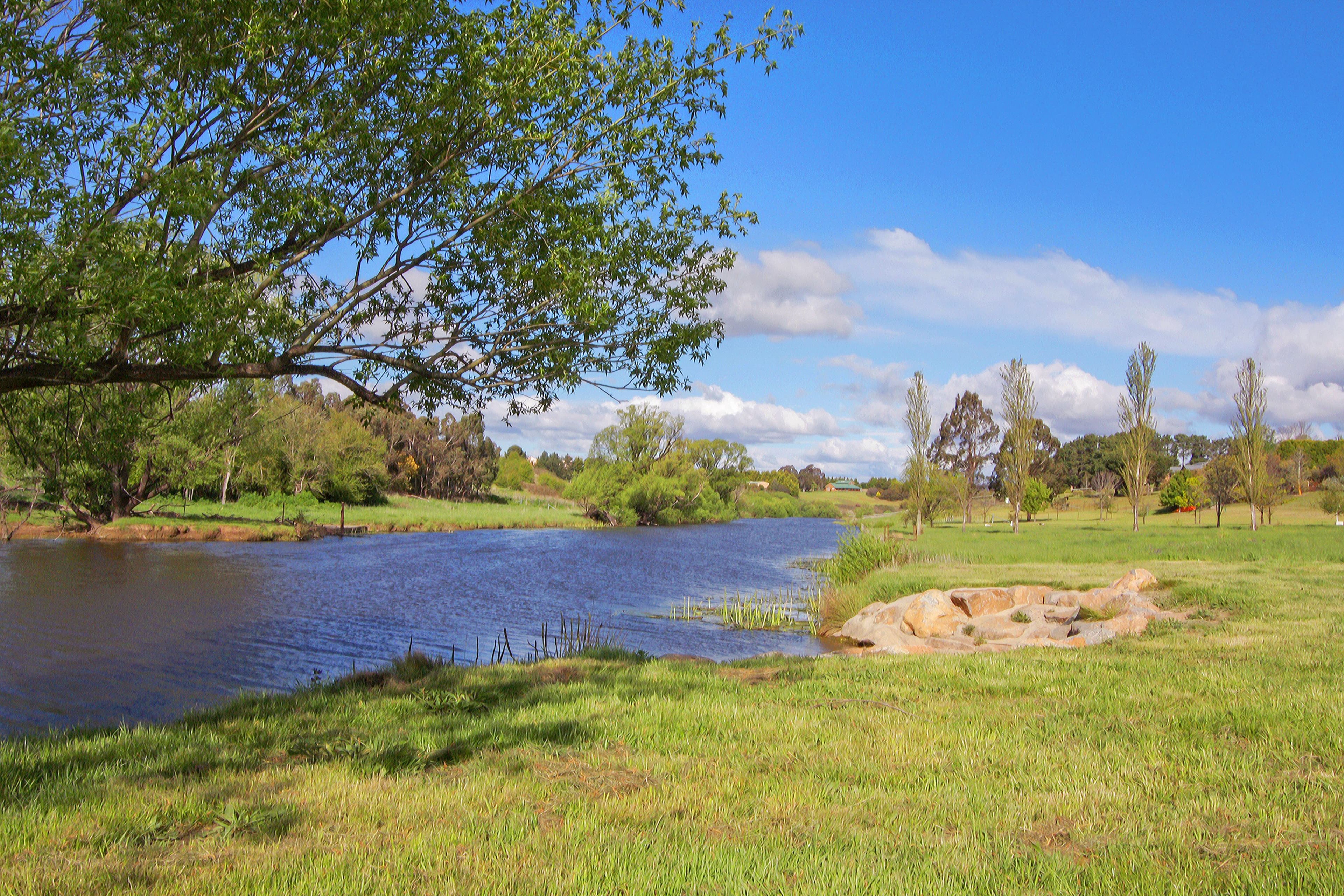 11 Ibis Road, GOULBURN NSW 2580, Goulburn - Thumbnail 5