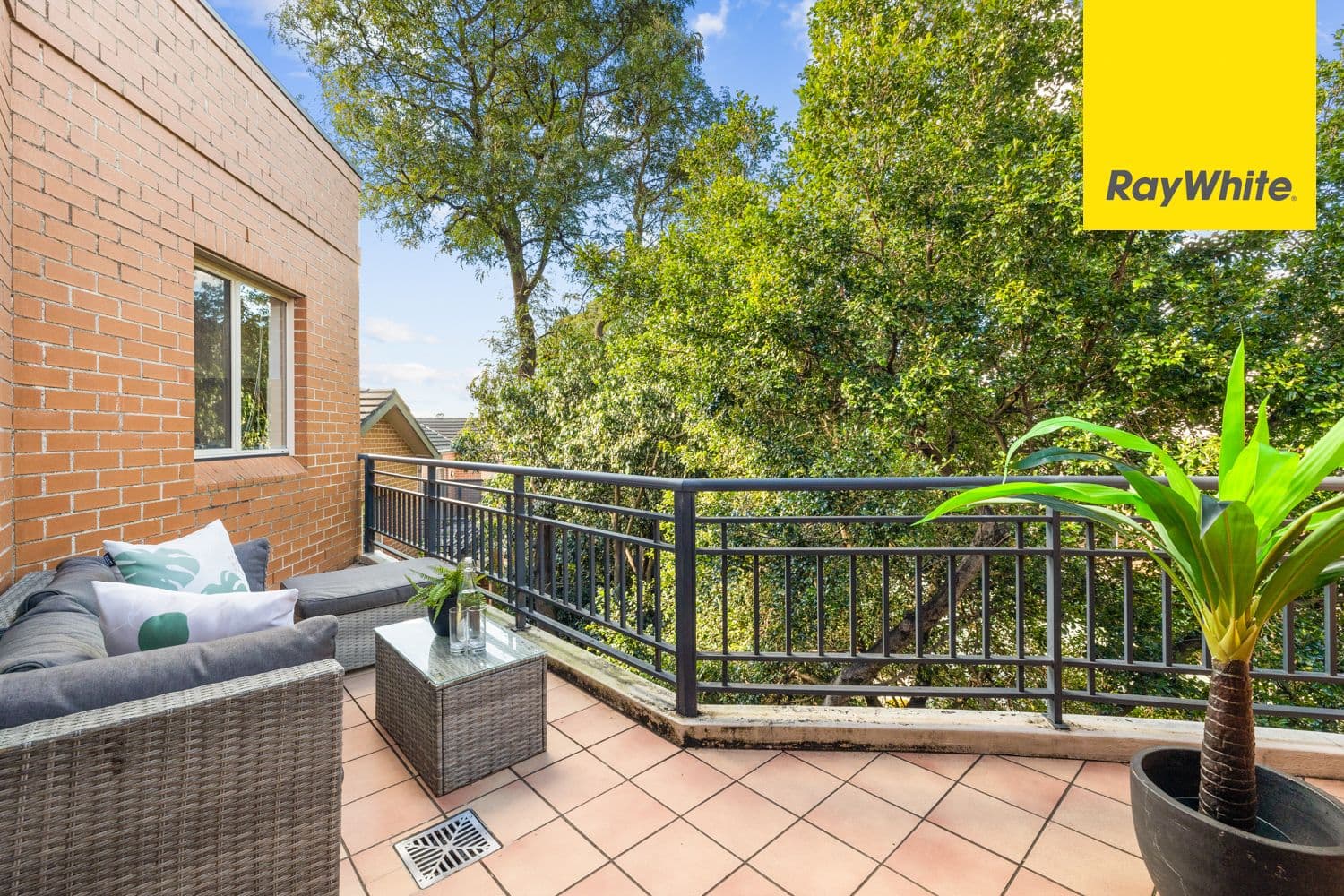 52 Oxford Street, Epping NSW 2121, Epping - Thumbnail 6