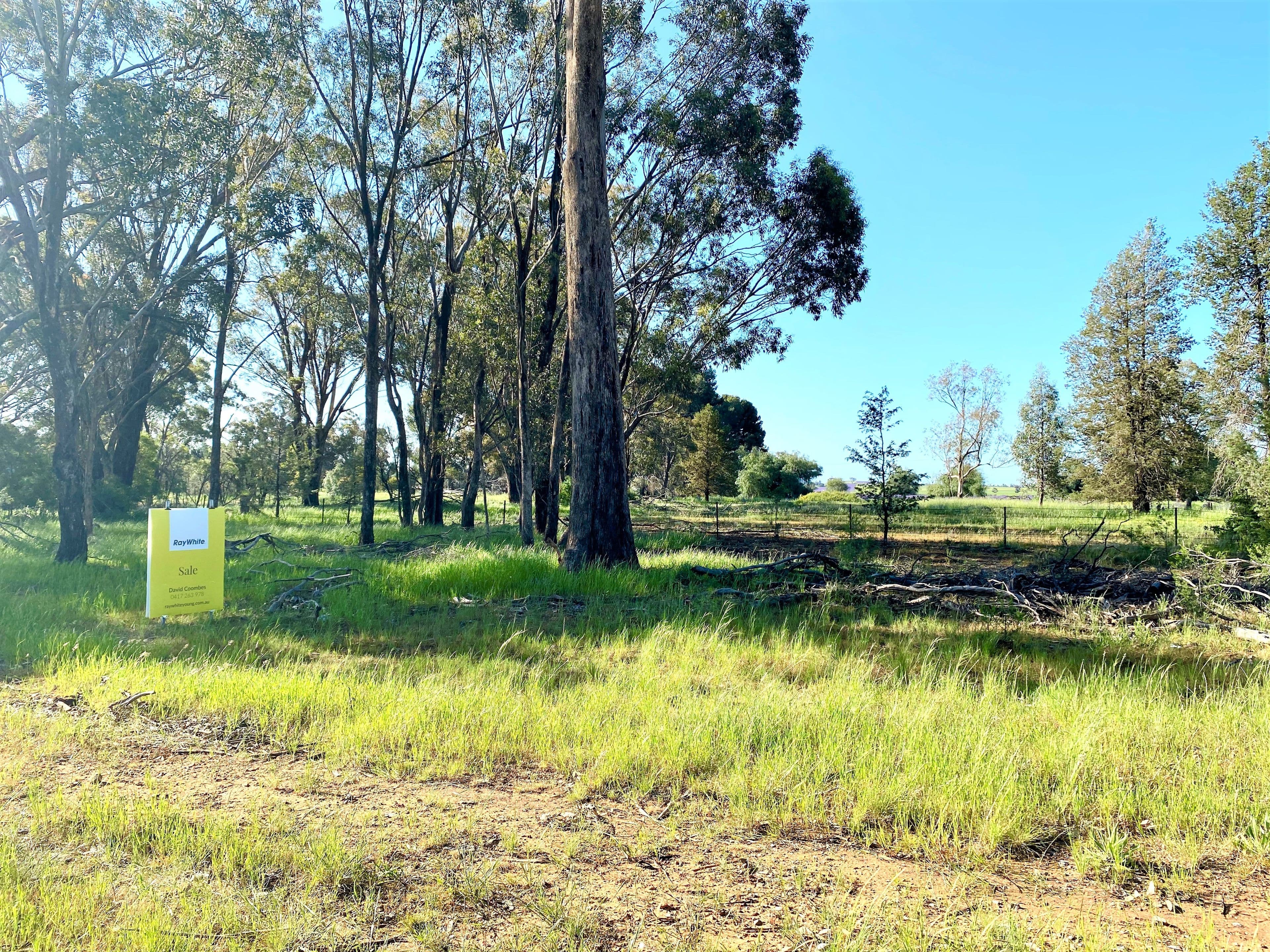 1696 Tubbul Road, Tubbul NSW 2594, Tubbul - Image 1