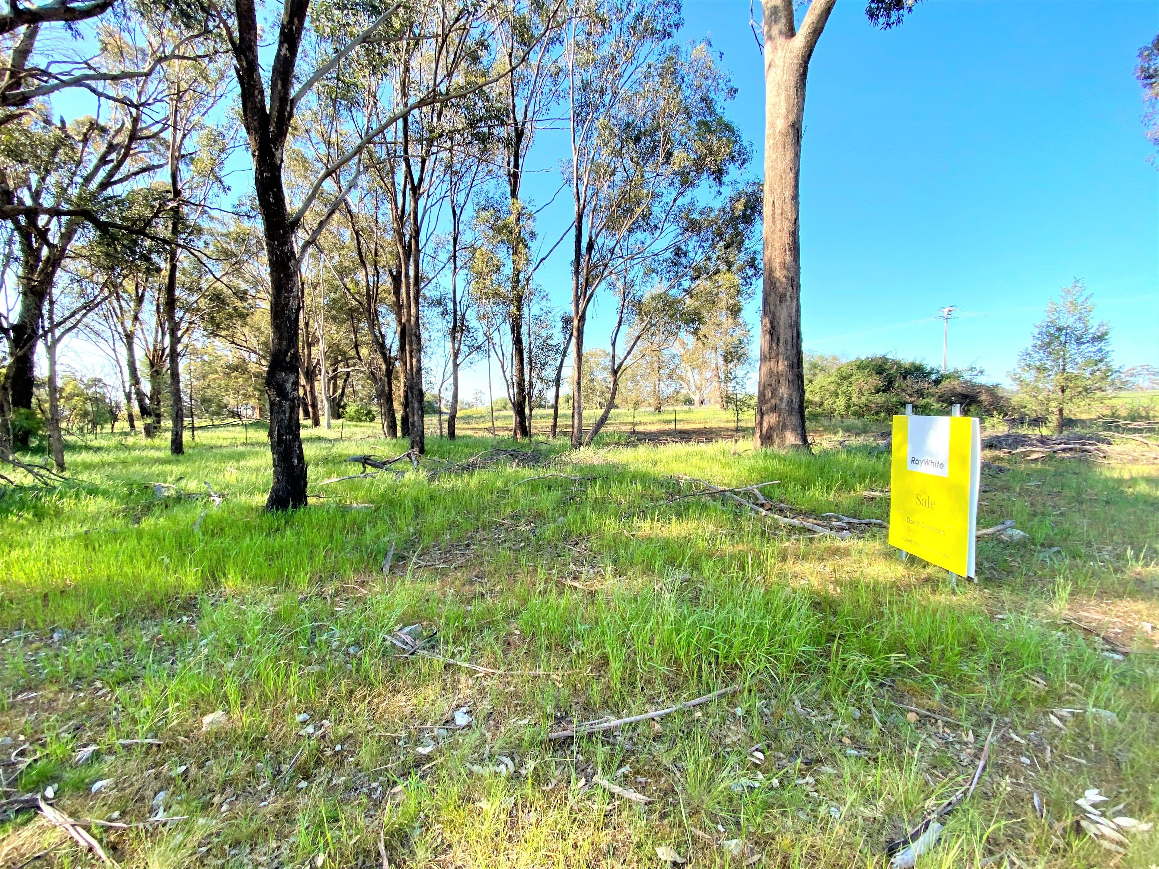 1696 Tubbul Road, Tubbul NSW 2594, Tubbul - Thumbnail 3