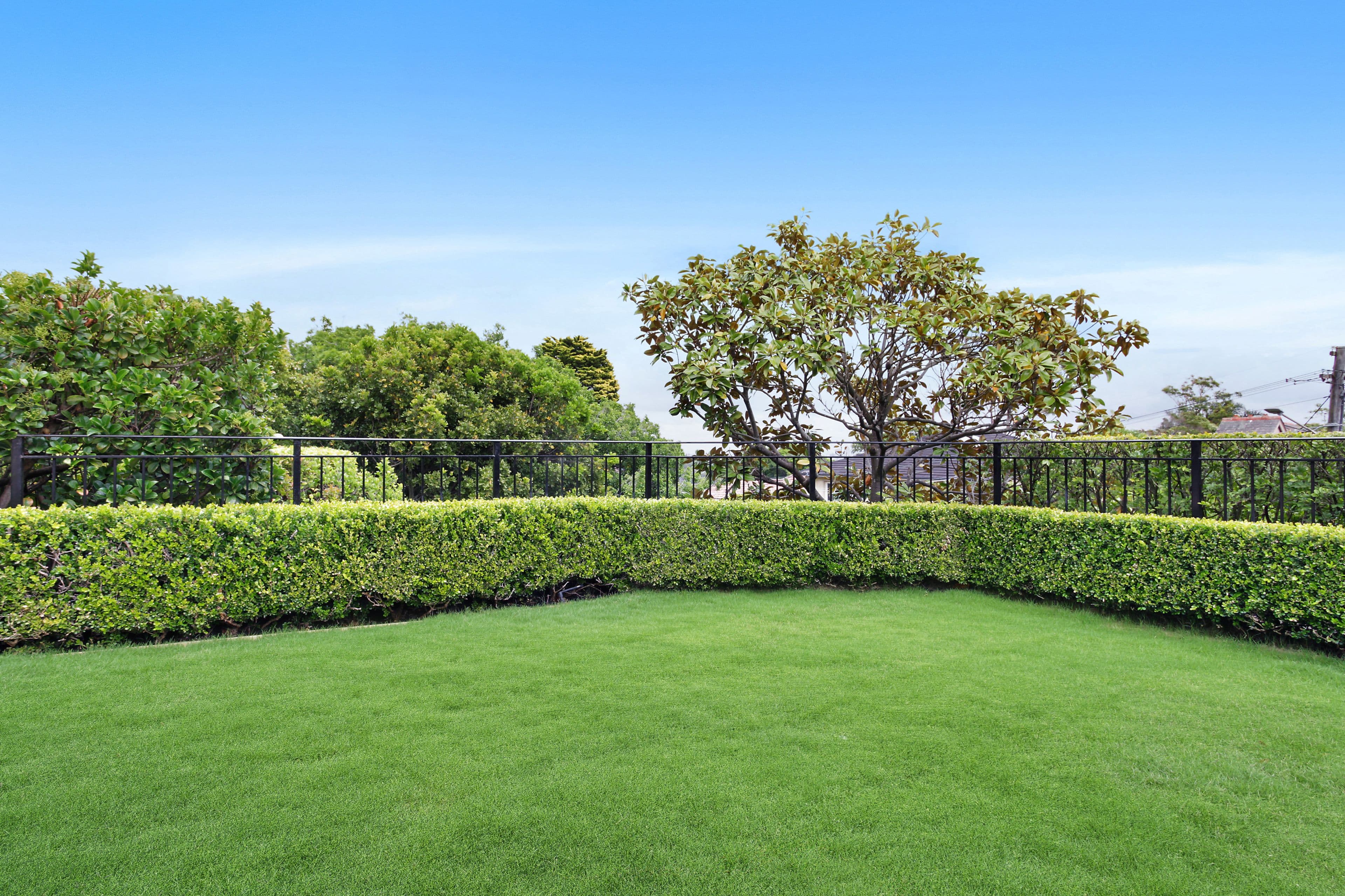 7 Rosslyn Street, Bellevue Hill NSW 2023, Bellevue Hill - Thumbnail 4