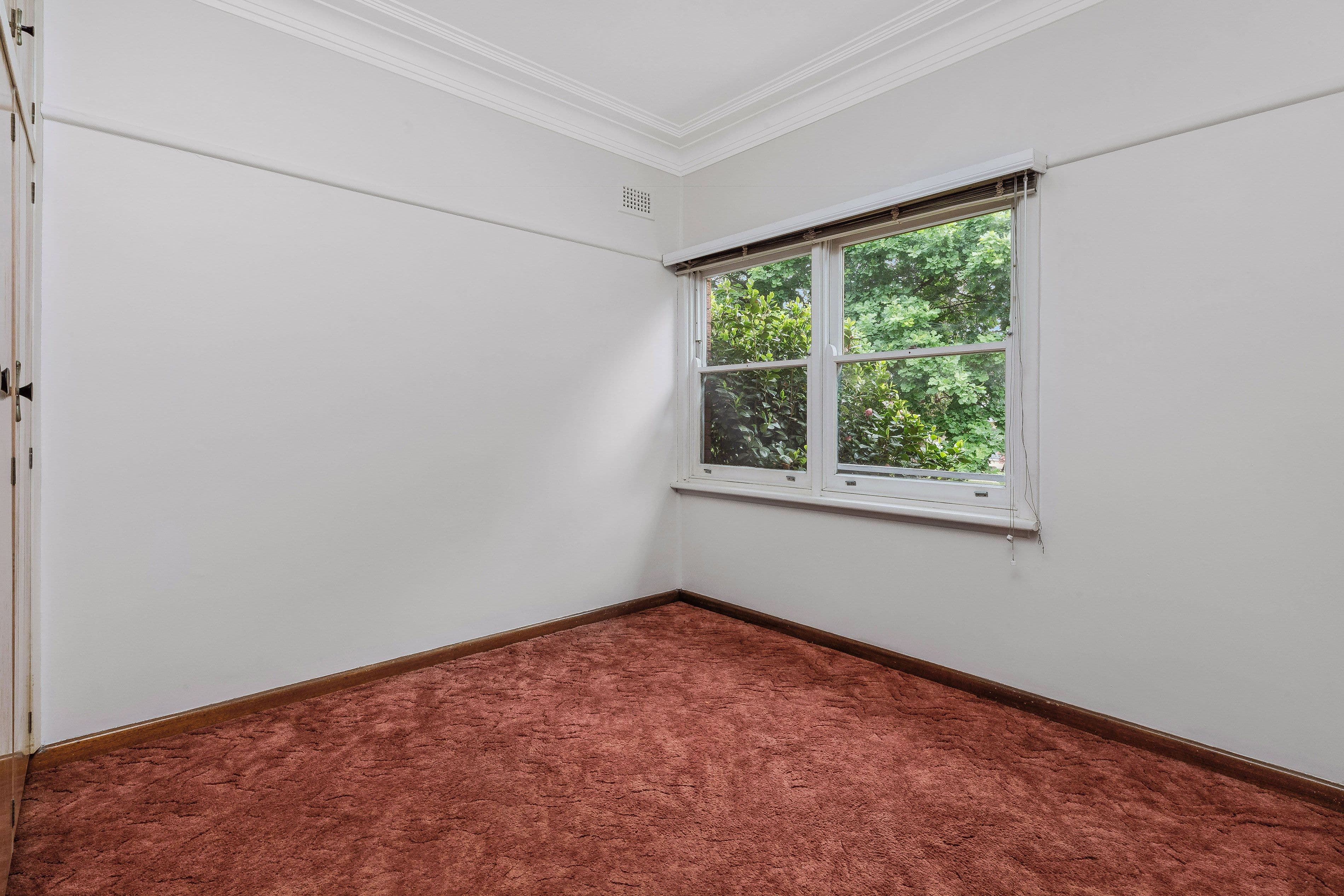 8 Erskine Street, Riverwood NSW 2210, Riverwood - Thumbnail 6