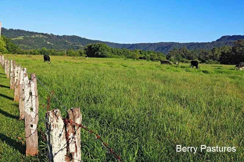 Lot 312 Huntingdale Park Estate, BERRY NSW 2535, Berry - Thumbnail 6