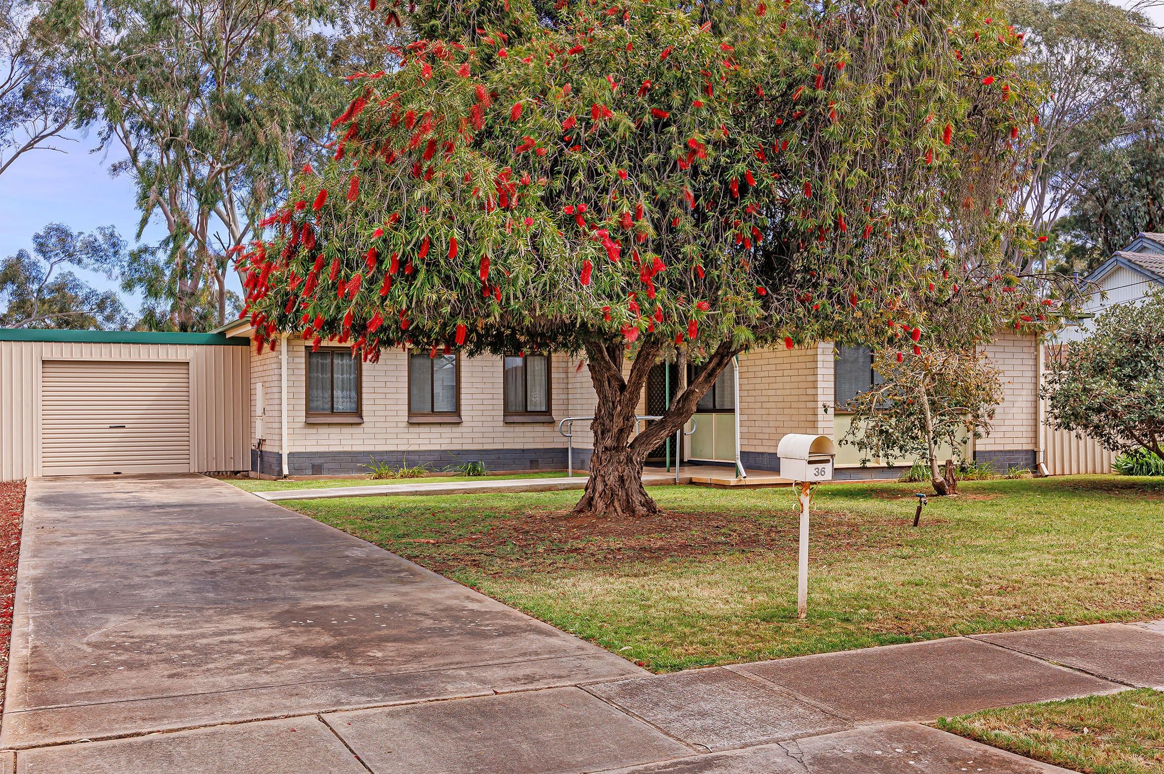 36 Athalie Avenue, Parafield Gardens SA 5107, Parafield Gardens - Thumbnail 3