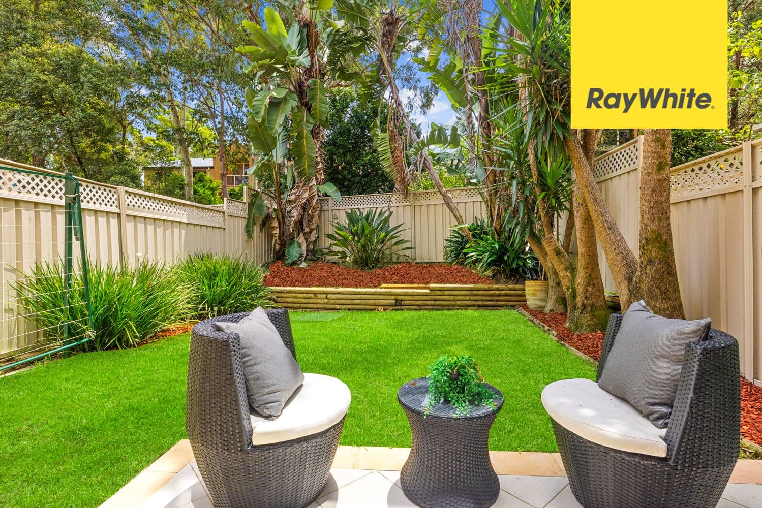 145 Balaclava Road, Marsfield NSW 2122, Marsfield - Thumbnail 6