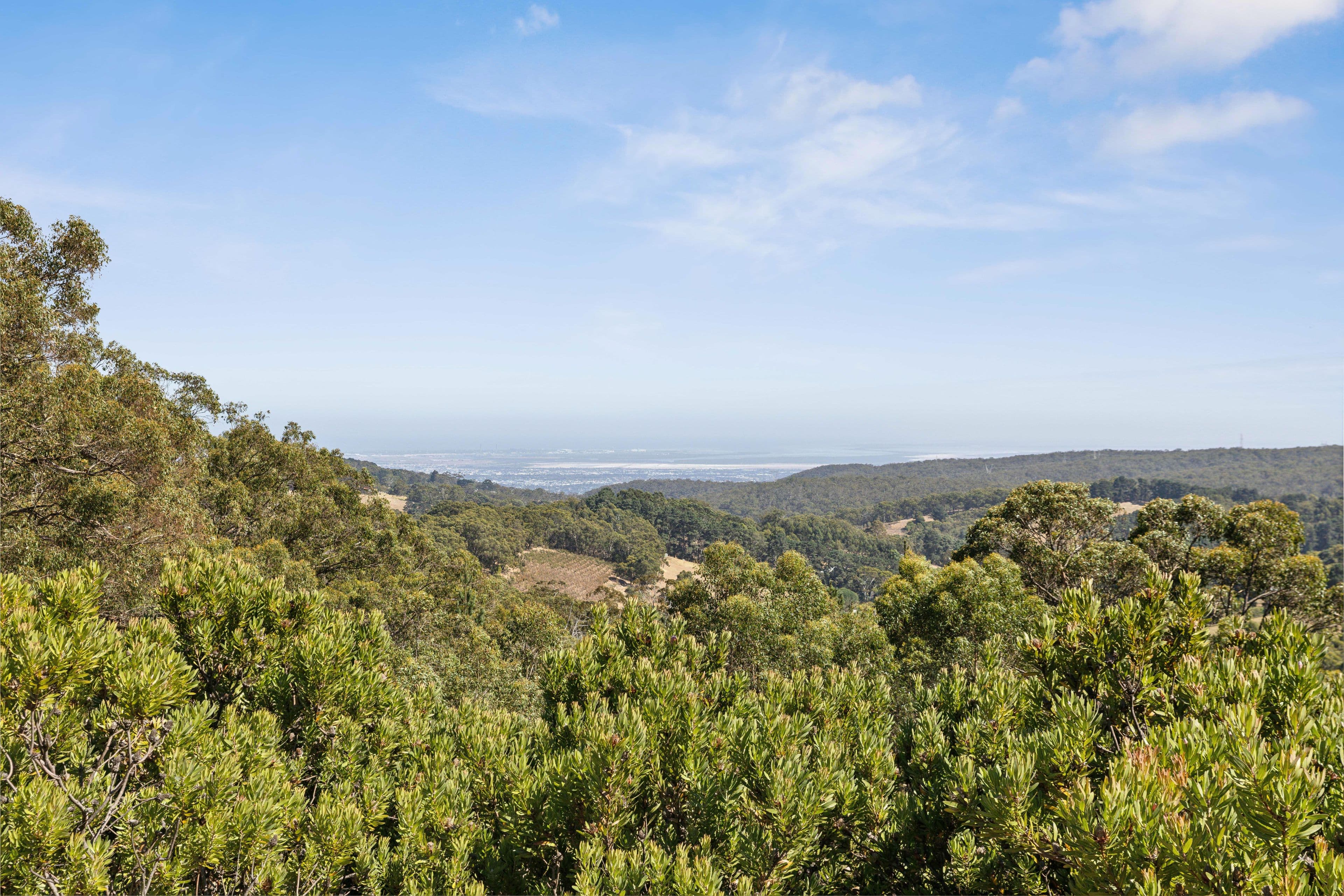 37 Tembys Road, Norton Summit SA 5136, Norton Summit - Thumbnail 3