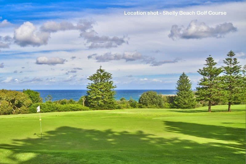 92 Grandview Street, SHELLY BEACH NSW 2261, Shelly Beach - Thumbnail 2