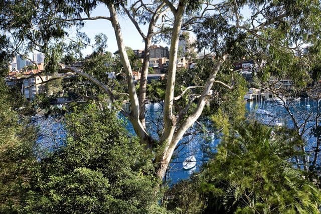 56 Milson Road, CREMORNE POINT NSW 2090, Cremorne Point - Thumbnail 2