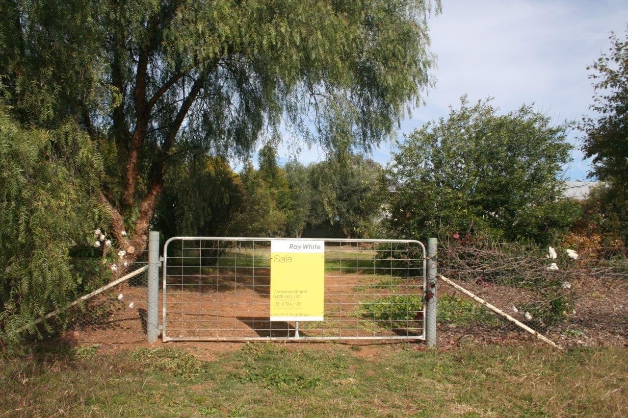 3 Spring Street, Bingara NSW 2404, Bingara - Image 1