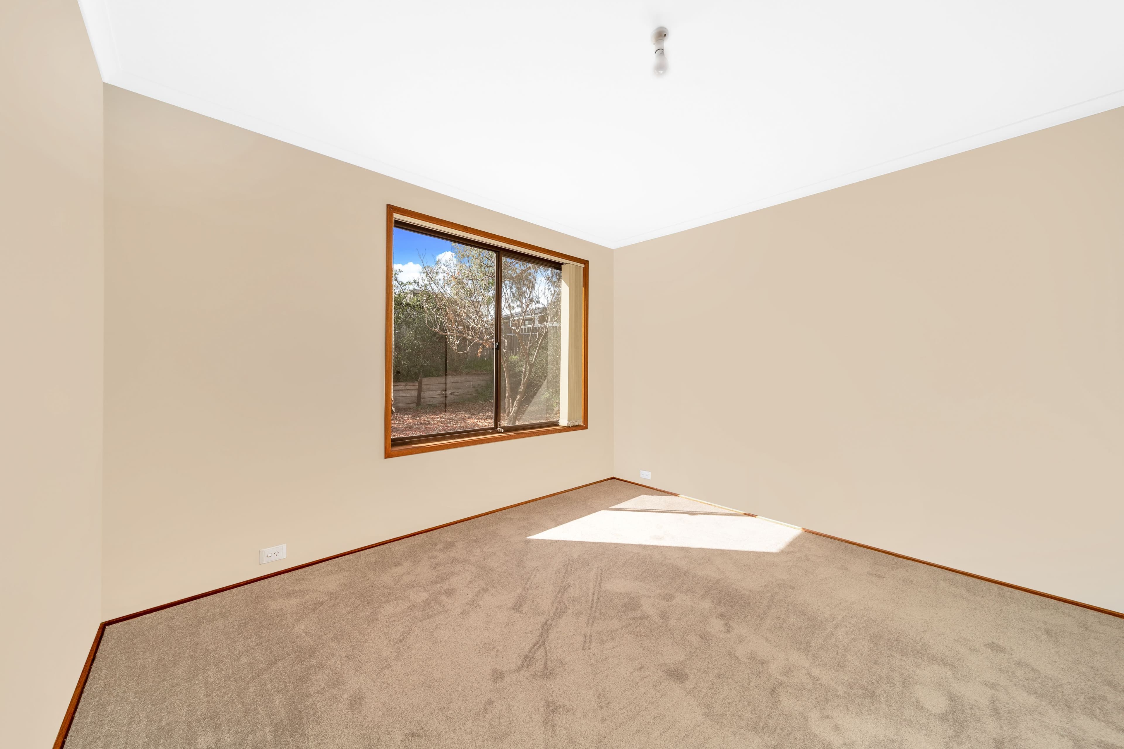 3 Macvitie Place, Macquarie ACT 2614, Macquarie - Thumbnail 6