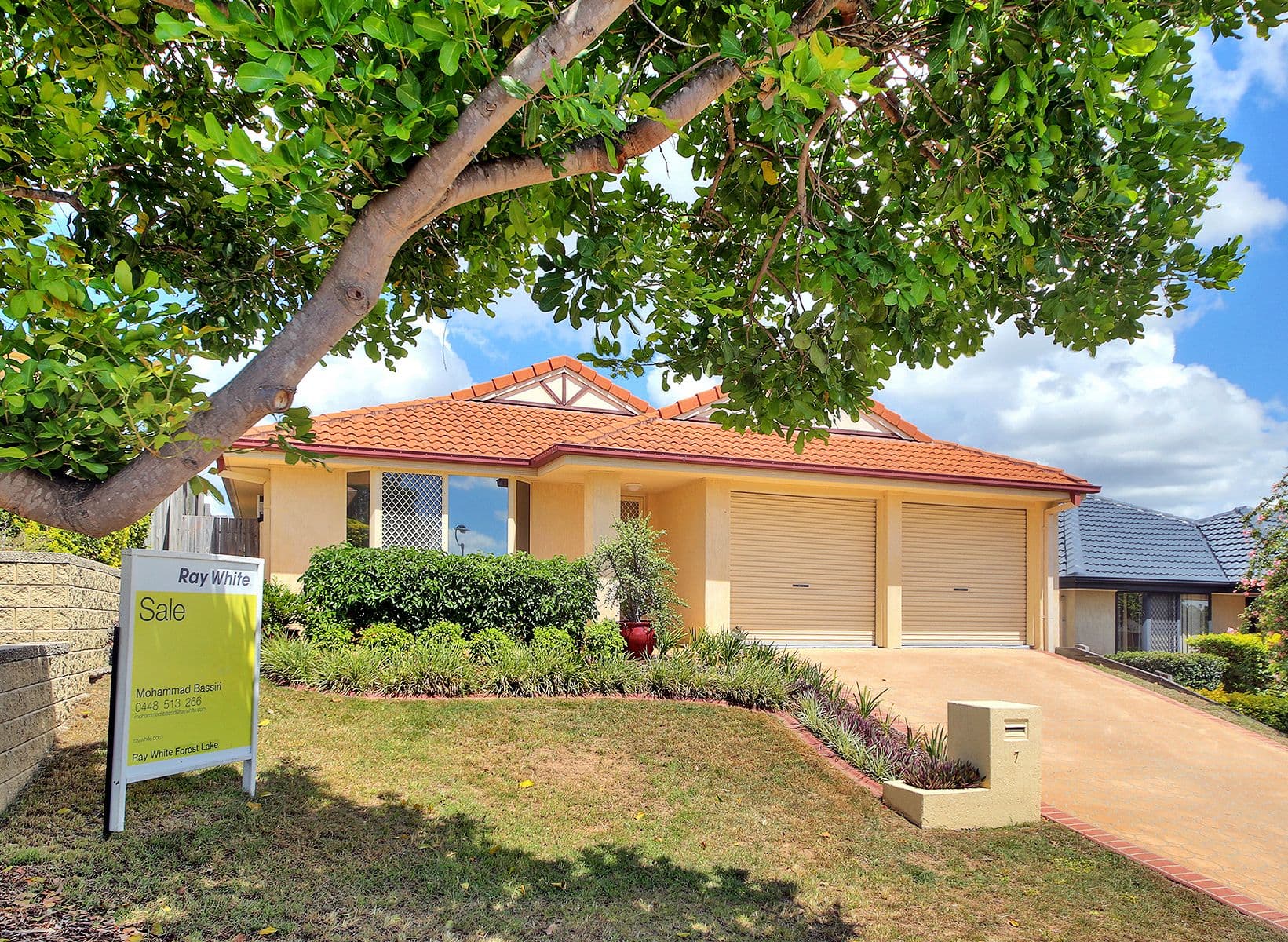 7 Garonne Court, Springfield QLD 4300, Springfield - Thumbnail 4