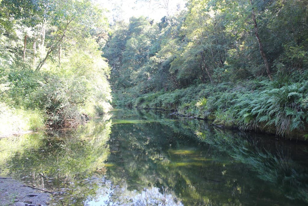 Lot 49 Kalang Road, Kalang, NSW, 2454, Kalang - Thumbnail 3