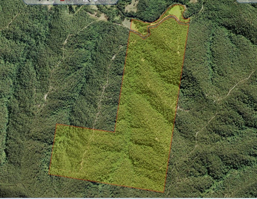 Lot 49 Kalang Road, Kalang, NSW, 2454, Kalang - Thumbnail 4