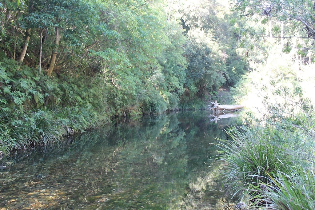 Lot 49 Kalang Road, Kalang, NSW, 2454, Kalang - Thumbnail 6