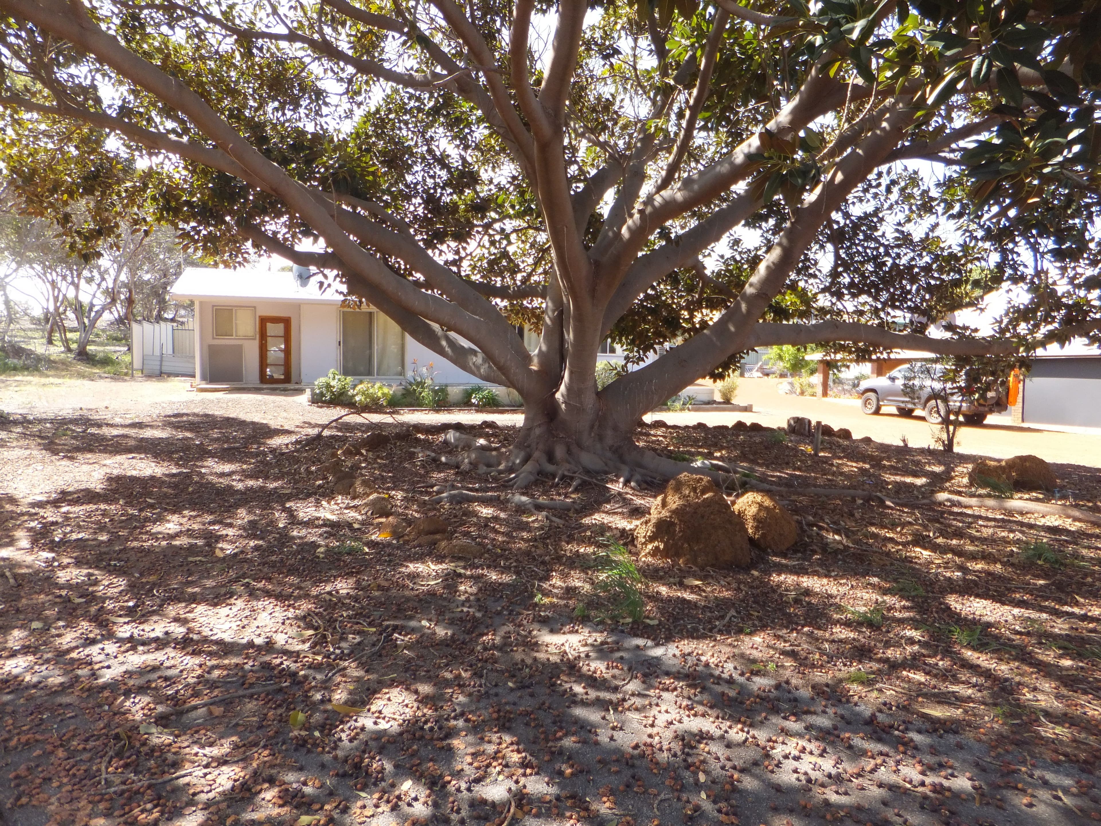 2 Gibson Way, Hopetoun WA 6348, Hopetoun - Thumbnail 3