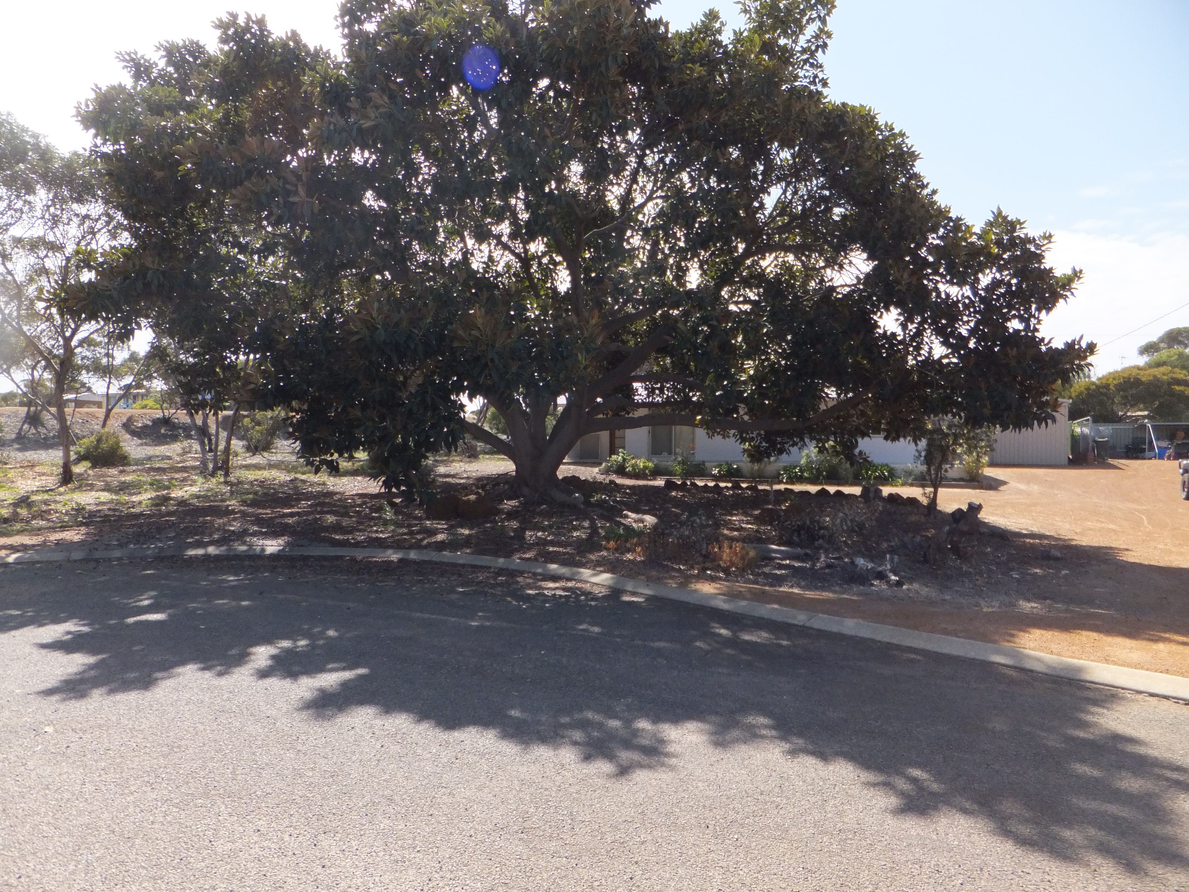 2 Gibson Way, Hopetoun WA 6348, Hopetoun - Thumbnail 4