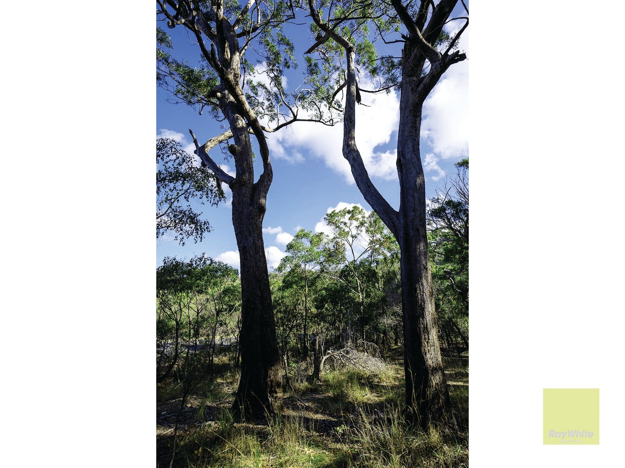 Agnes Water QLD 4677, Agnes Water - Image 1
