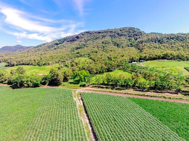 Lot 18 Ferrero Road, Craiglie QLD 4877, Craiglie - Thumbnail 4