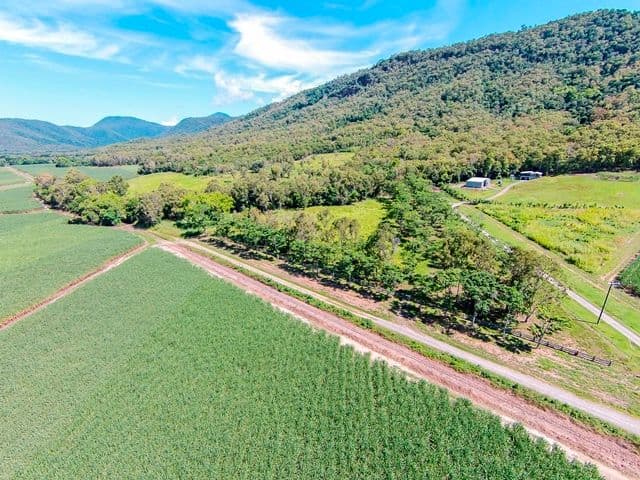 Lot 18 Ferrero Road, Craiglie QLD 4877, Craiglie - Thumbnail 5
