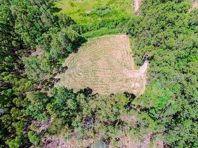 Lot 18 Ferrero Road, Craiglie QLD 4877, Craiglie - Thumbnail 6